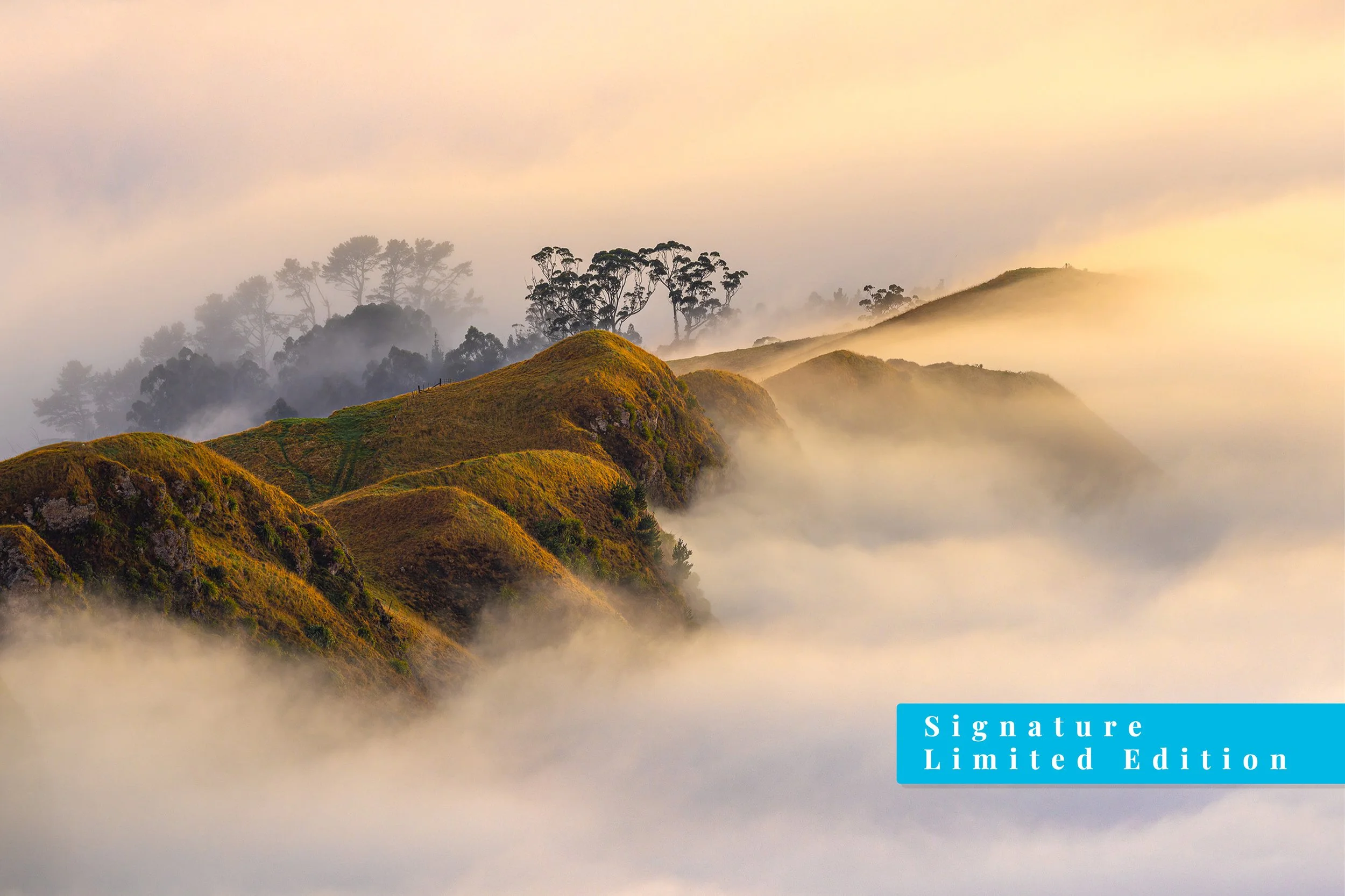 Ridge in Fog | Te Mata Peak, Hawke's Bay