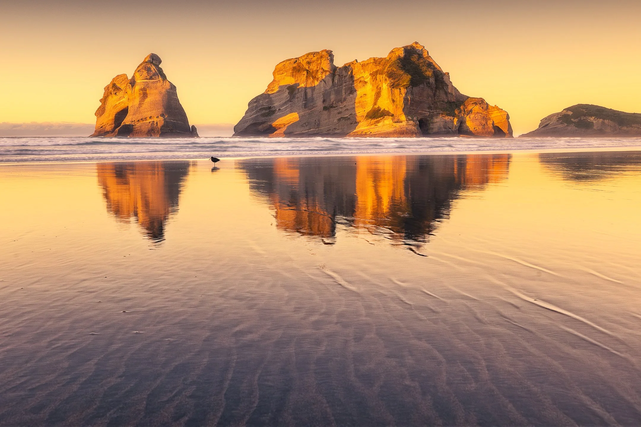 The iconic rock formations of Wharariki Beach reflected in wet sand at golden hour, a lone oystercatcher standing in silhouette at the water's edge, Tasman Region, New Zealand.