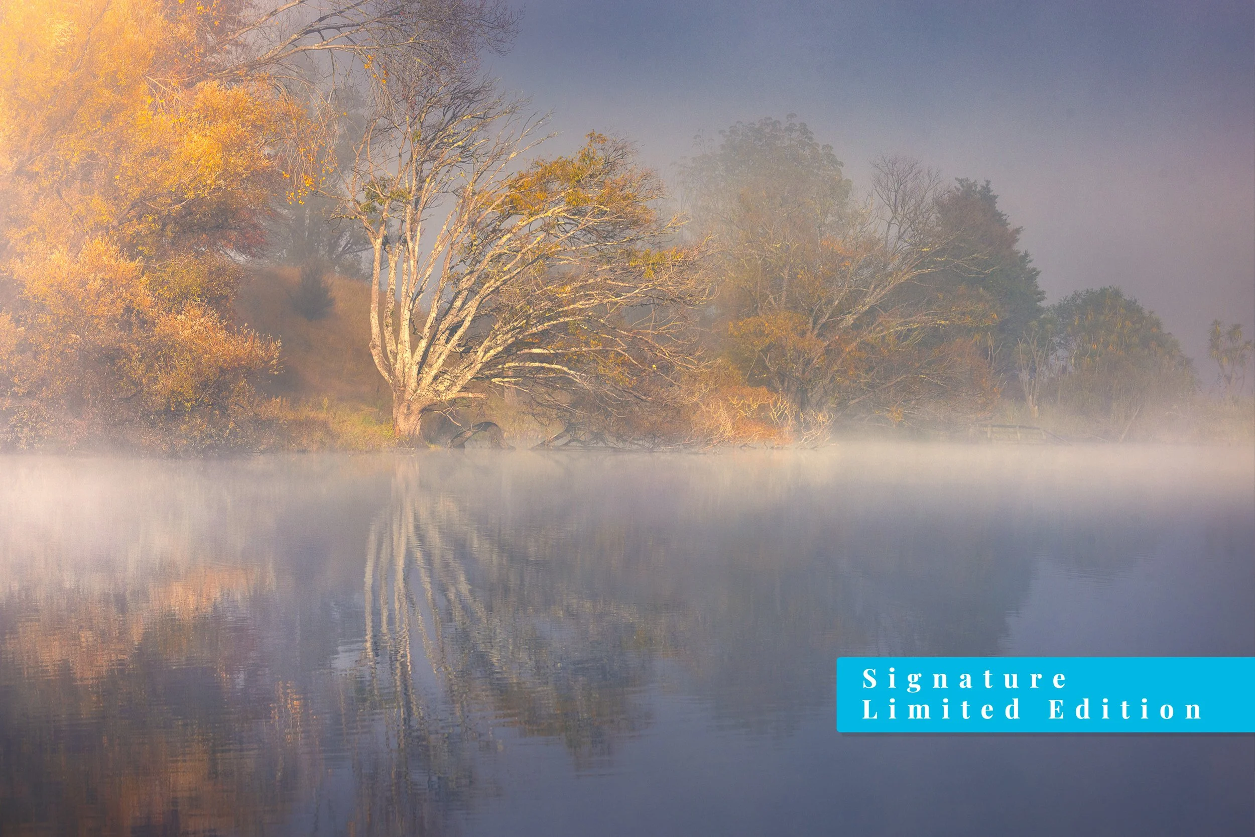 Golden Reflection | Lake Tutira, Hawke's Bay