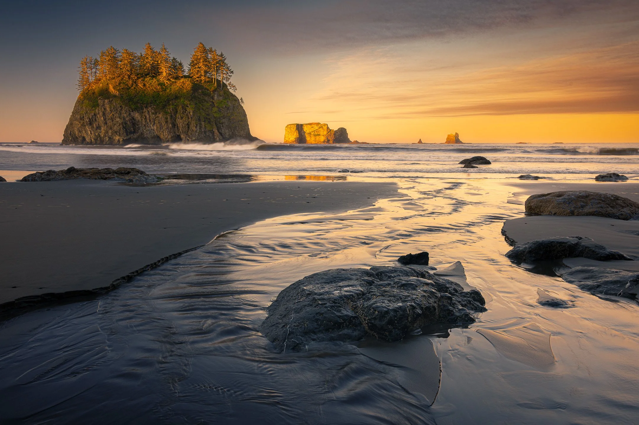 Early morning light illuminates the sea stacks at Second Beach on the Olympic Peninsula one by one, the trees atop Crying Lady Rock glowing amber and gold, Washington, USA.