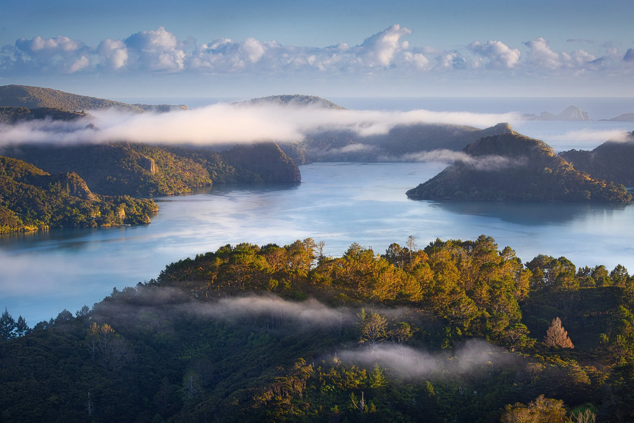 Mist drifting over forested hills above Whangaroa Harbour, seen from St Paul's Rock, Northland, New Zealand