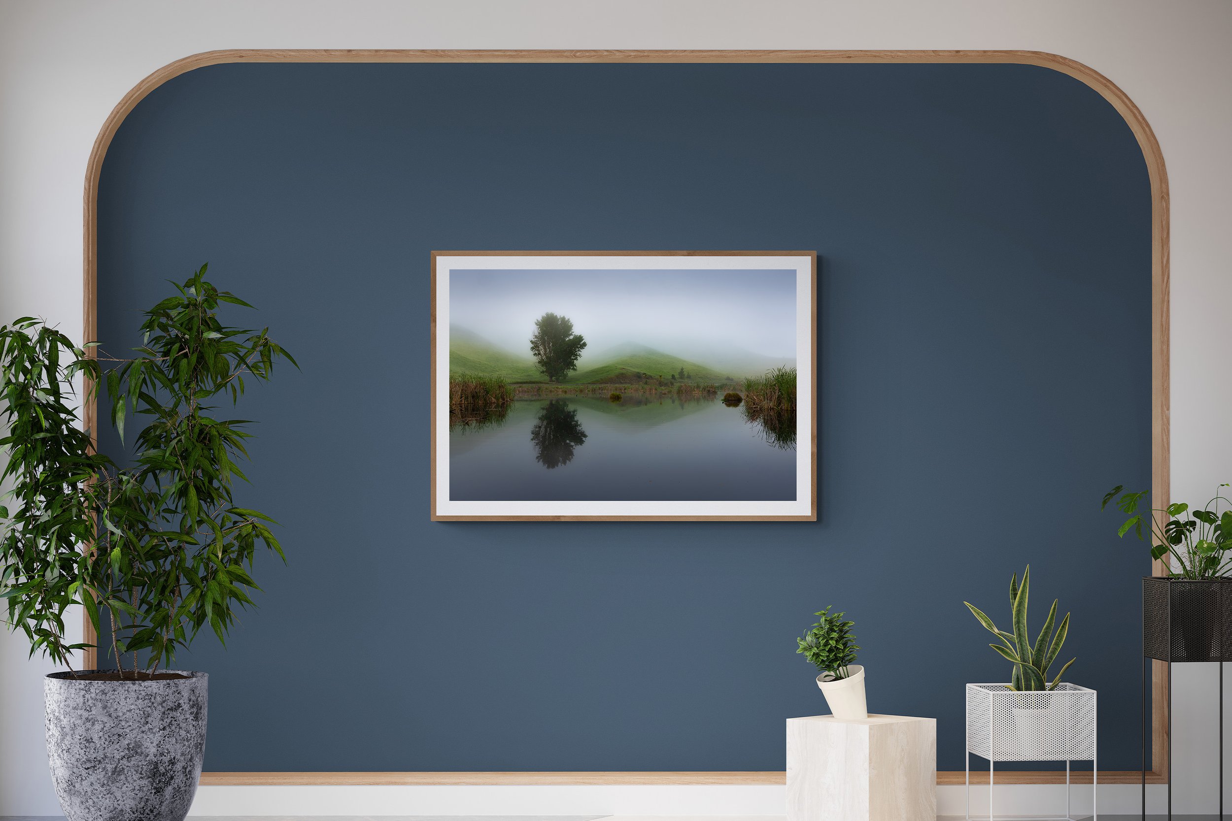 JAB_20211112_8032-room-lobby-with-feature-wall-and-plants-3x2.jpg