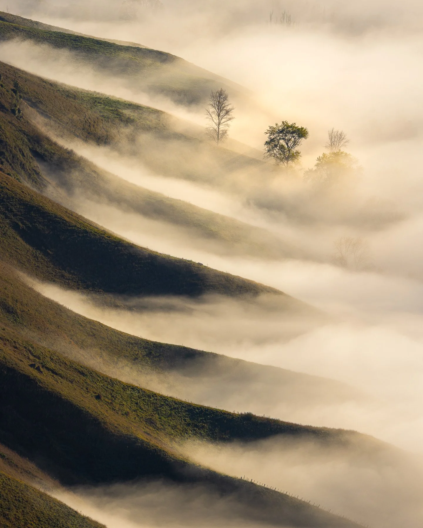 Abstract landscape photography of the Tukituki Valley in Hawke's Bay, showing interlocking green ridges slicing through layers of thick morning fog like waves, with a few bare trees breaking the minimalist geometric pattern.