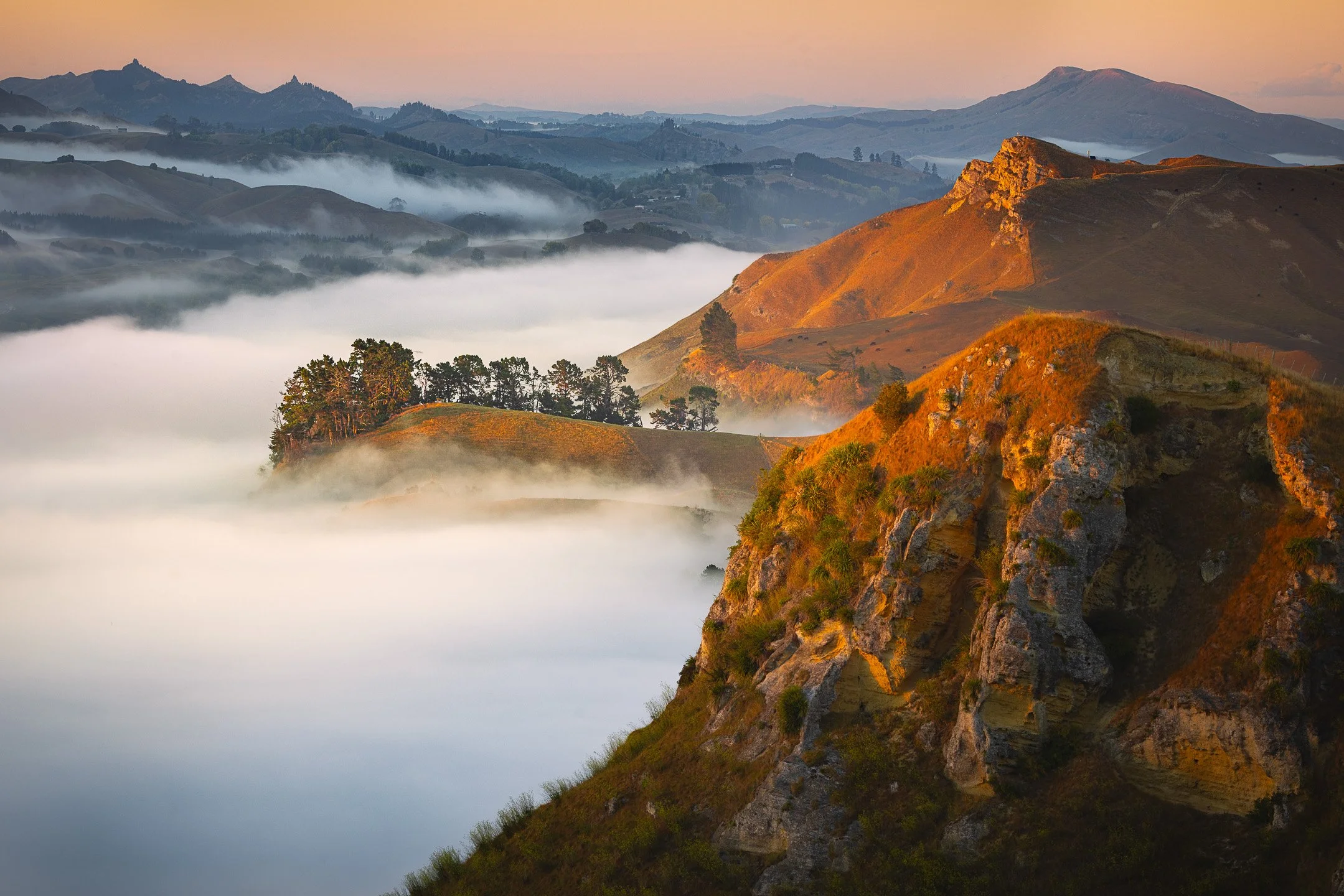 Sunrise light on cliffs and a tree-lined ridge rising above a valley filled with fog, with distant hills silhouetted beyond, Te Mata Park, Hawke's Bay, New Zealand.
