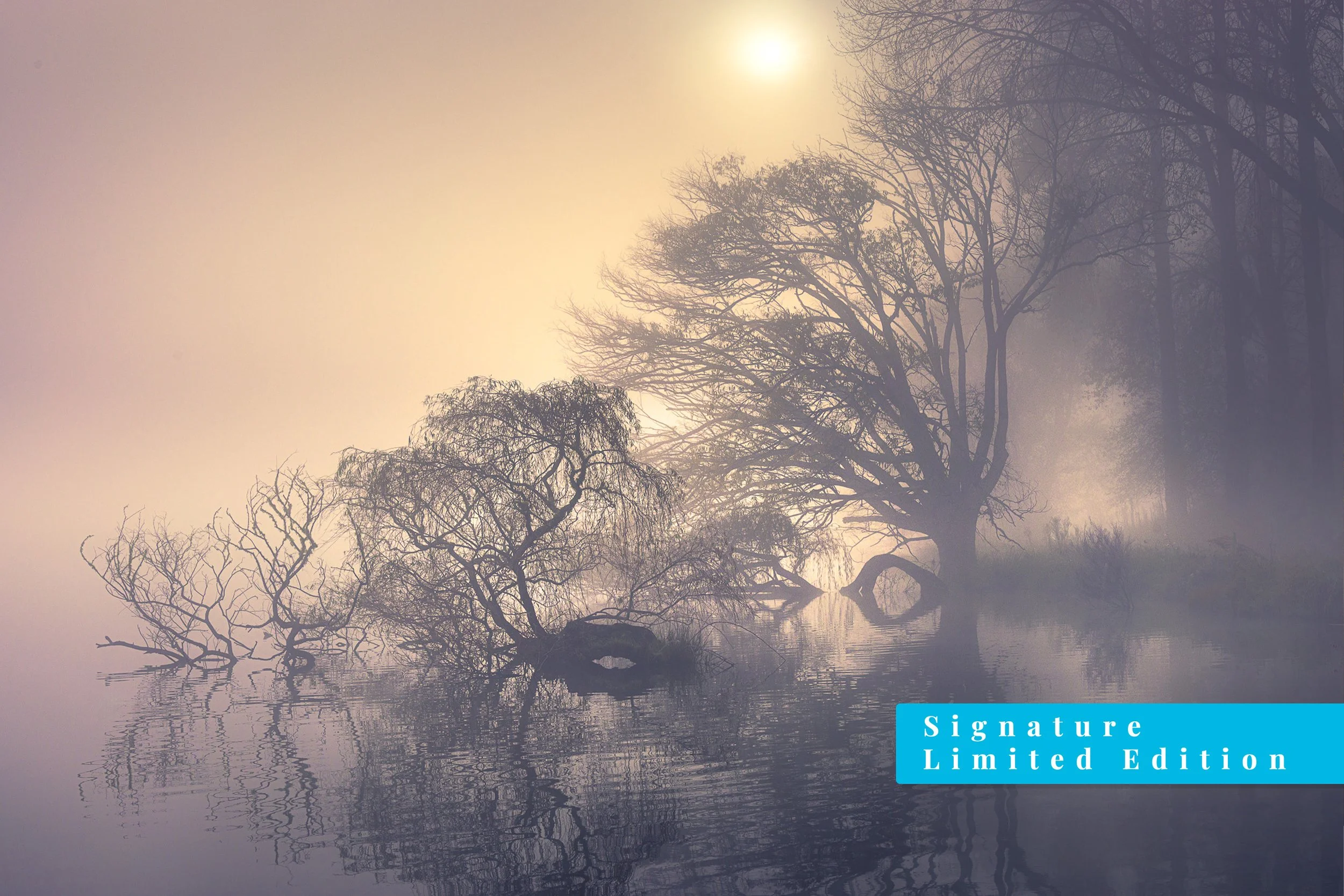 The Shape of Silence | Lake Tutira, Hawke's Bay