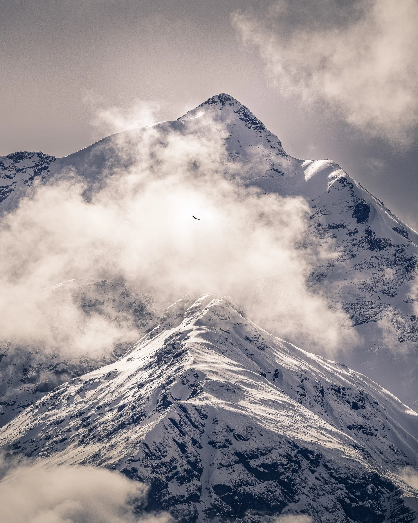 A bird soaring past the snow-capped East Peak of Mount Earnslaw, Glenorchy, Otago, New Zealand