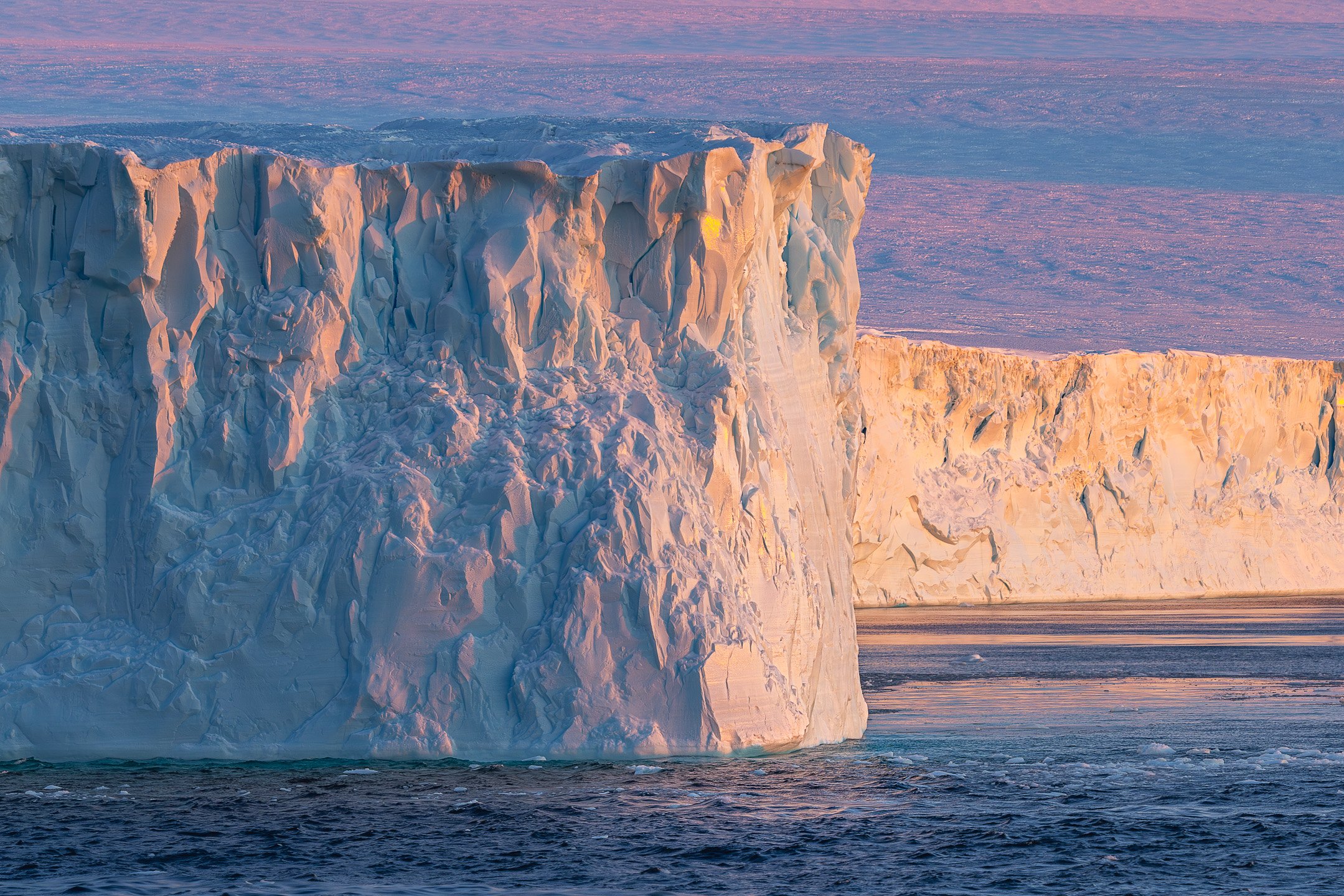 A massive, sheer iceberg wall with intricate textures glows with soft pink and gold light above dark Antarctic waters.