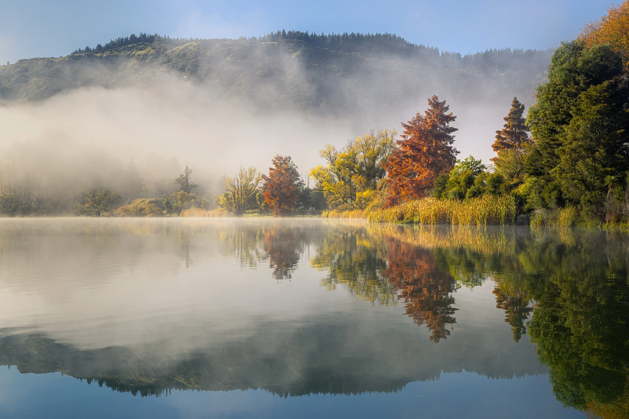 Golden morning mist drifts across Lake Tūtira in Hawke’s Bay, New Zealand, reflecting autumn-coloured trees and soft hills in calm water.