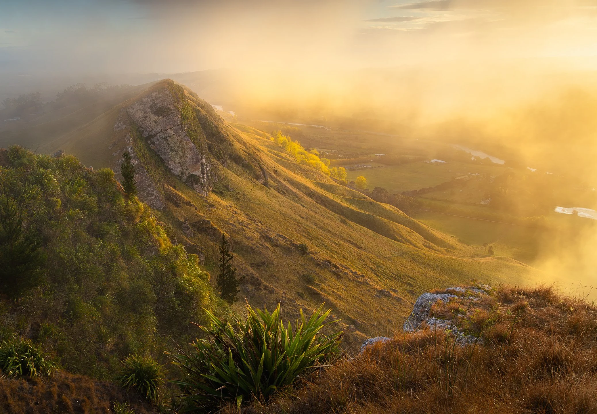 Encircled in Light | Havelock North, Hawke's Bay