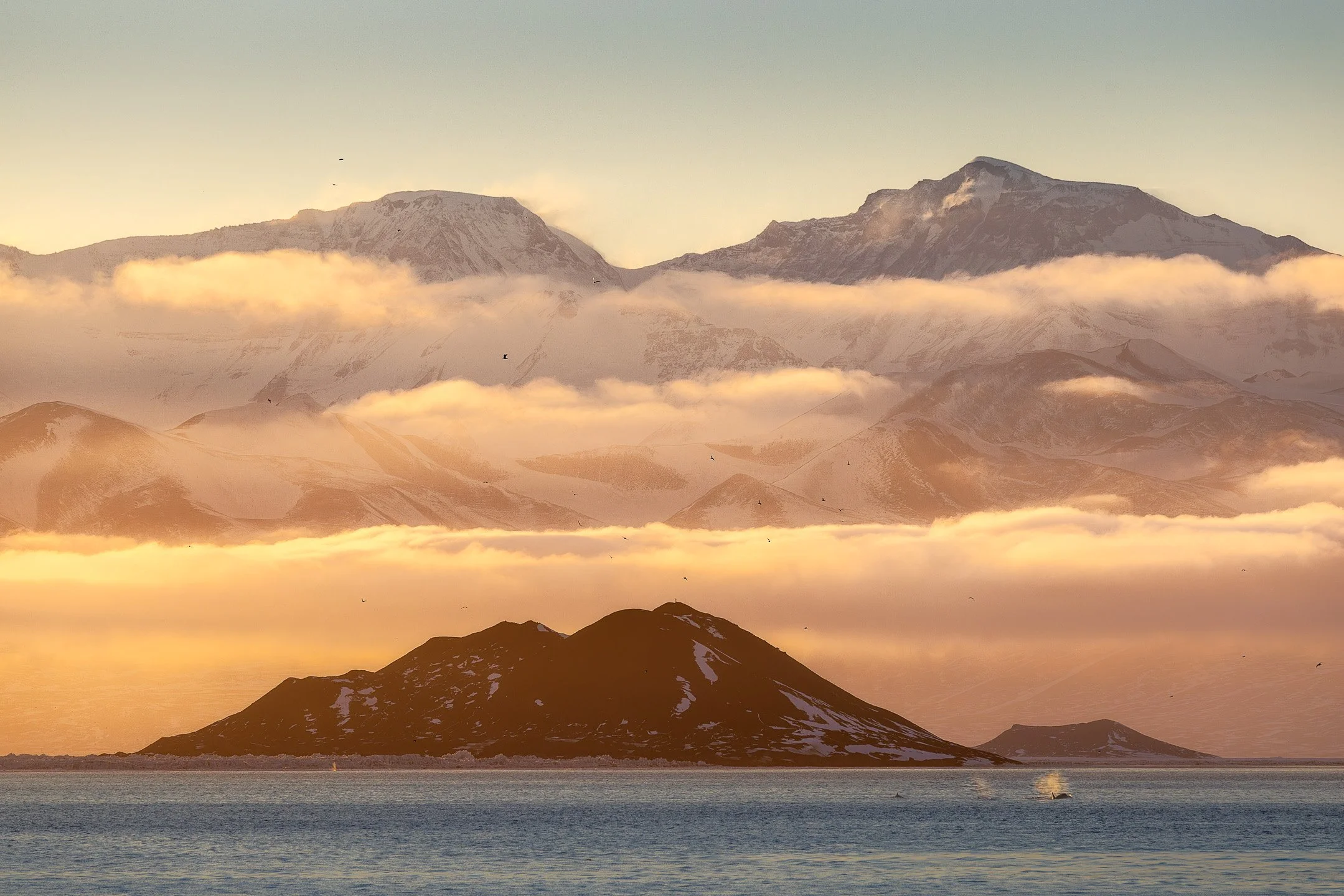 Golden mist drifts between layered Antarctic mountains and a dark foreground island, with a whale blow visible on the sea.