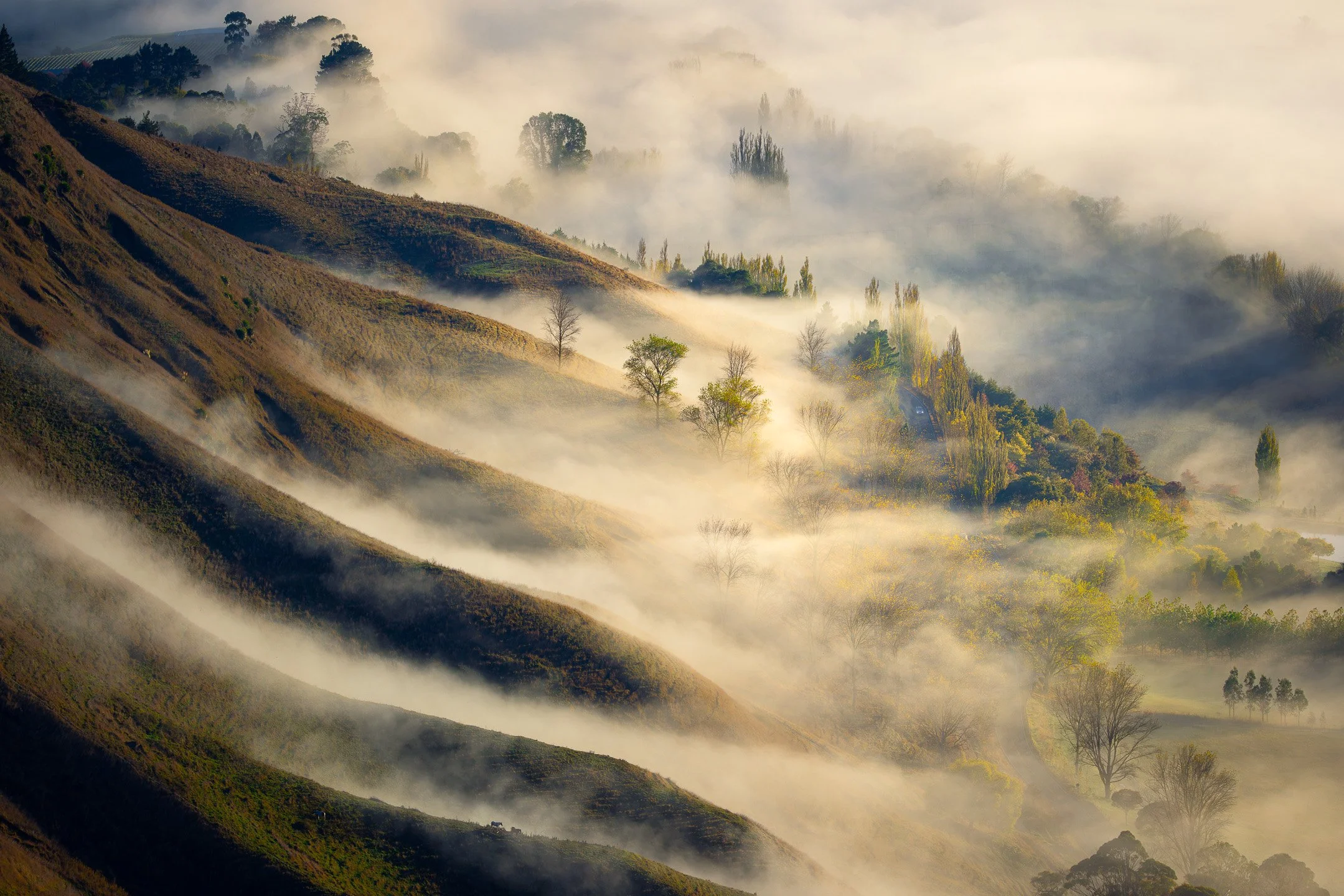 Early morning mist transforms the Tukituki Valley into an otherworldly landscape as seen from Te Mata Peak, Hawke's Bay, with a tiny vehicle visible on Waimarama Road below, New Zealand