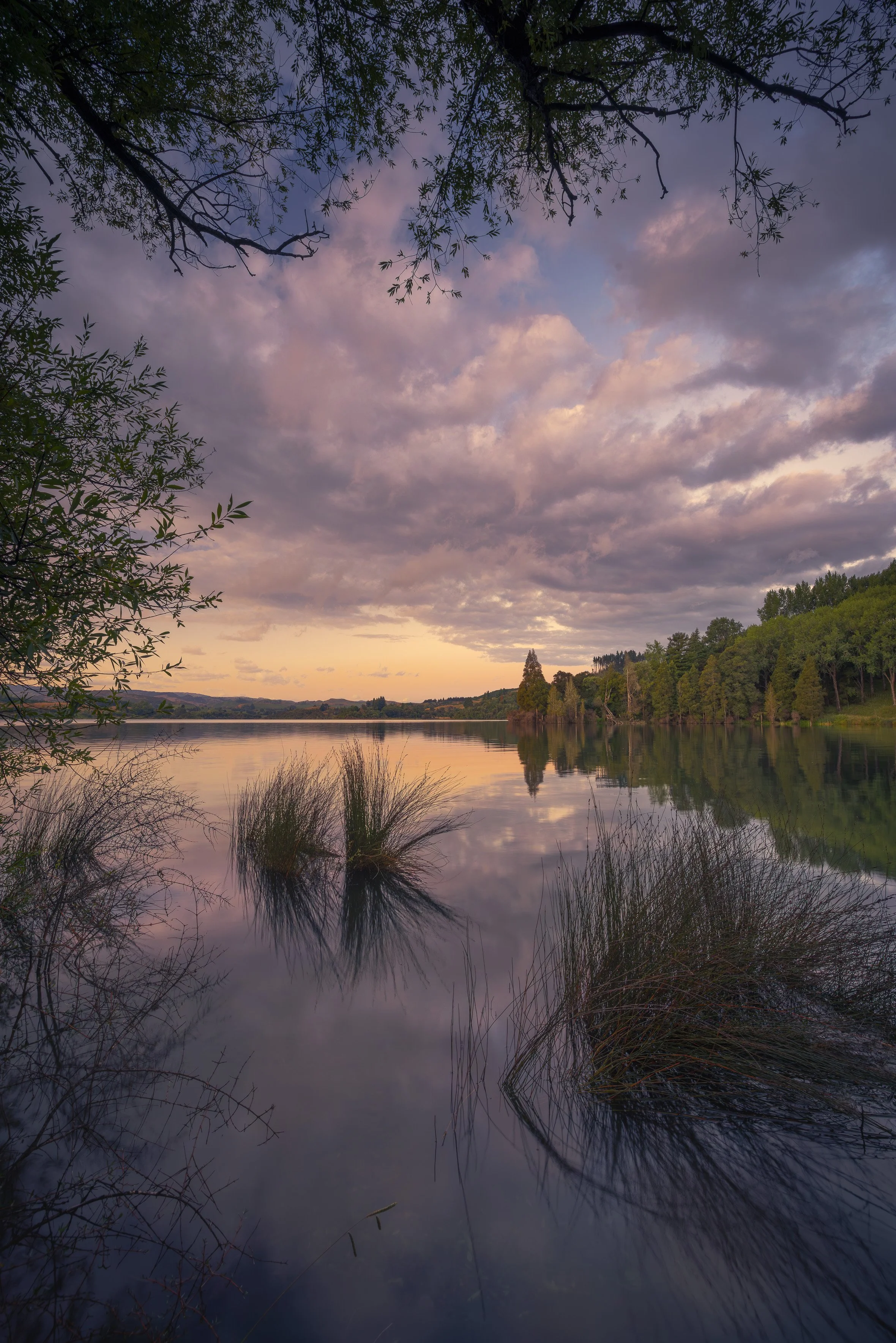 Circular Polarising Filter (CPL) - What is it and does it make a ...