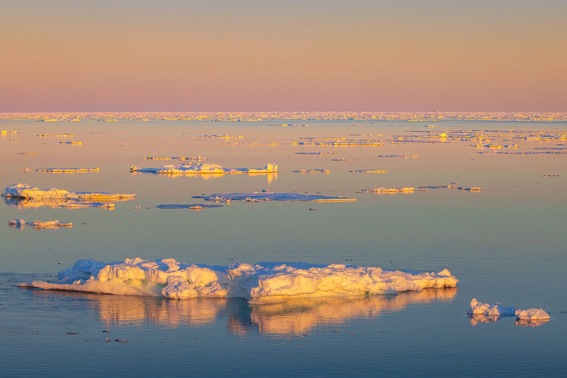 Scattered icebergs and brash ice on perfectly still water near Terra Nova Bay, Antarctica, under a soft peach and pink ambient sky with no sun visible. The ice catches warm reflected light across a completely calm surface extending to the horizon.