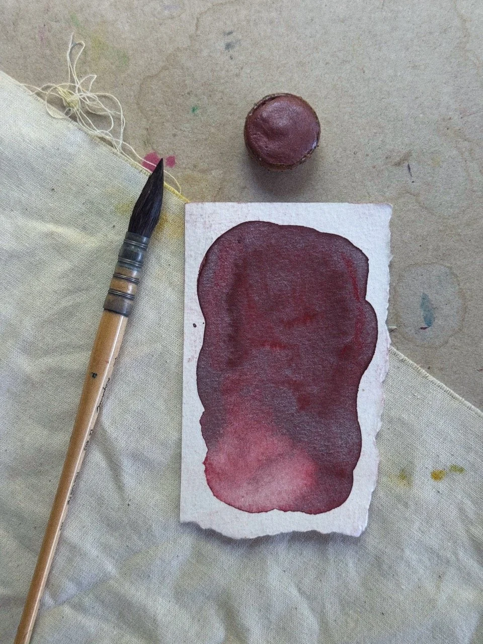 Tezza-0340 Large.jpeg