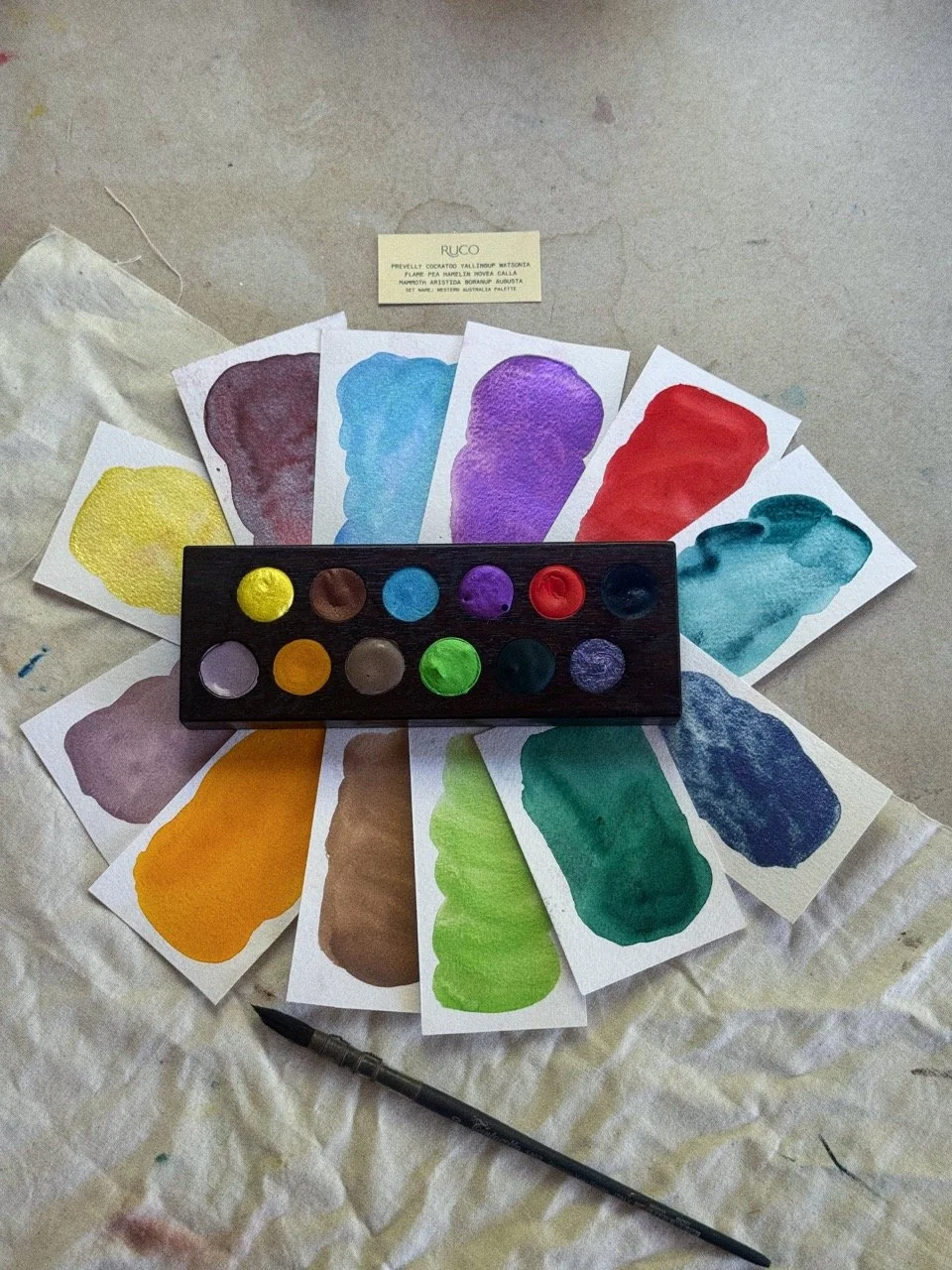 Tezza-3102 Large.jpeg