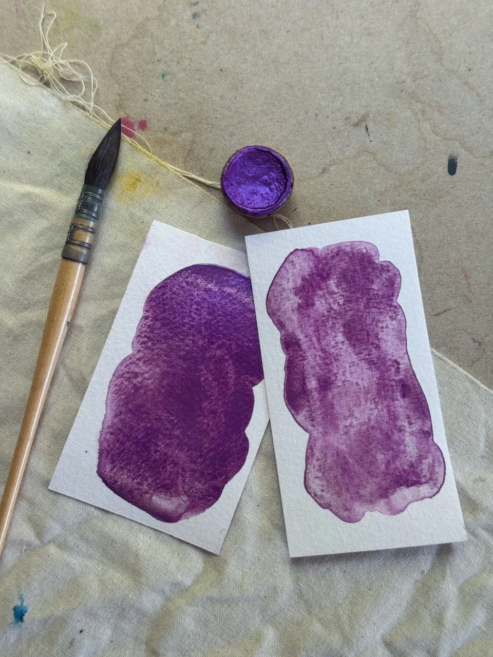 Tezza-2857 Large.jpeg