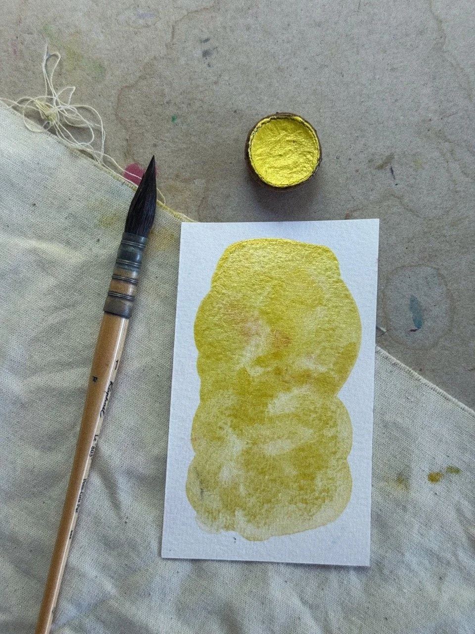 Tezza-6608 Large.jpeg