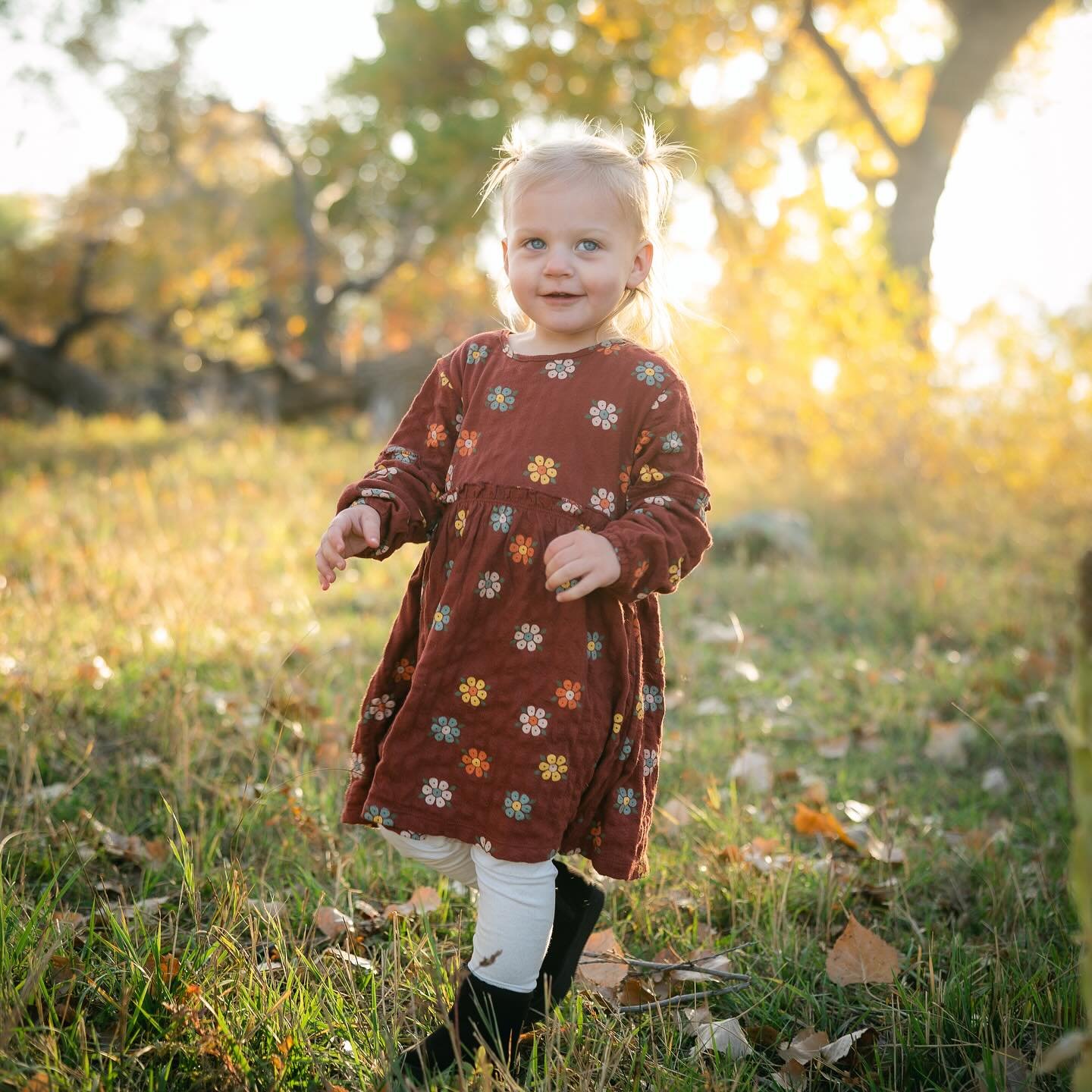 Oh so many fun and sweet families and kiddos this season. What a joy to capture these moments.
.
.
.
#coloradophotographer #colorado #coloradophotography #denverphotographer #photography #coloradoweddingphotographer #photographer #denverphotography #