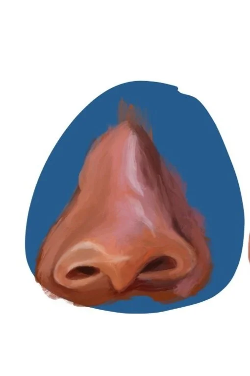Nose.jpg
