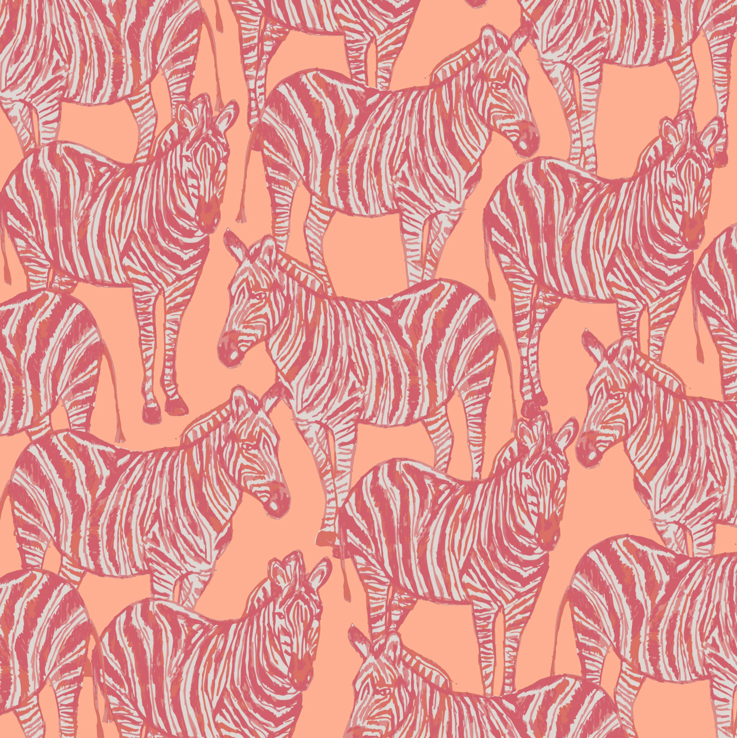 Zebra Lookout - Peach Fuzz