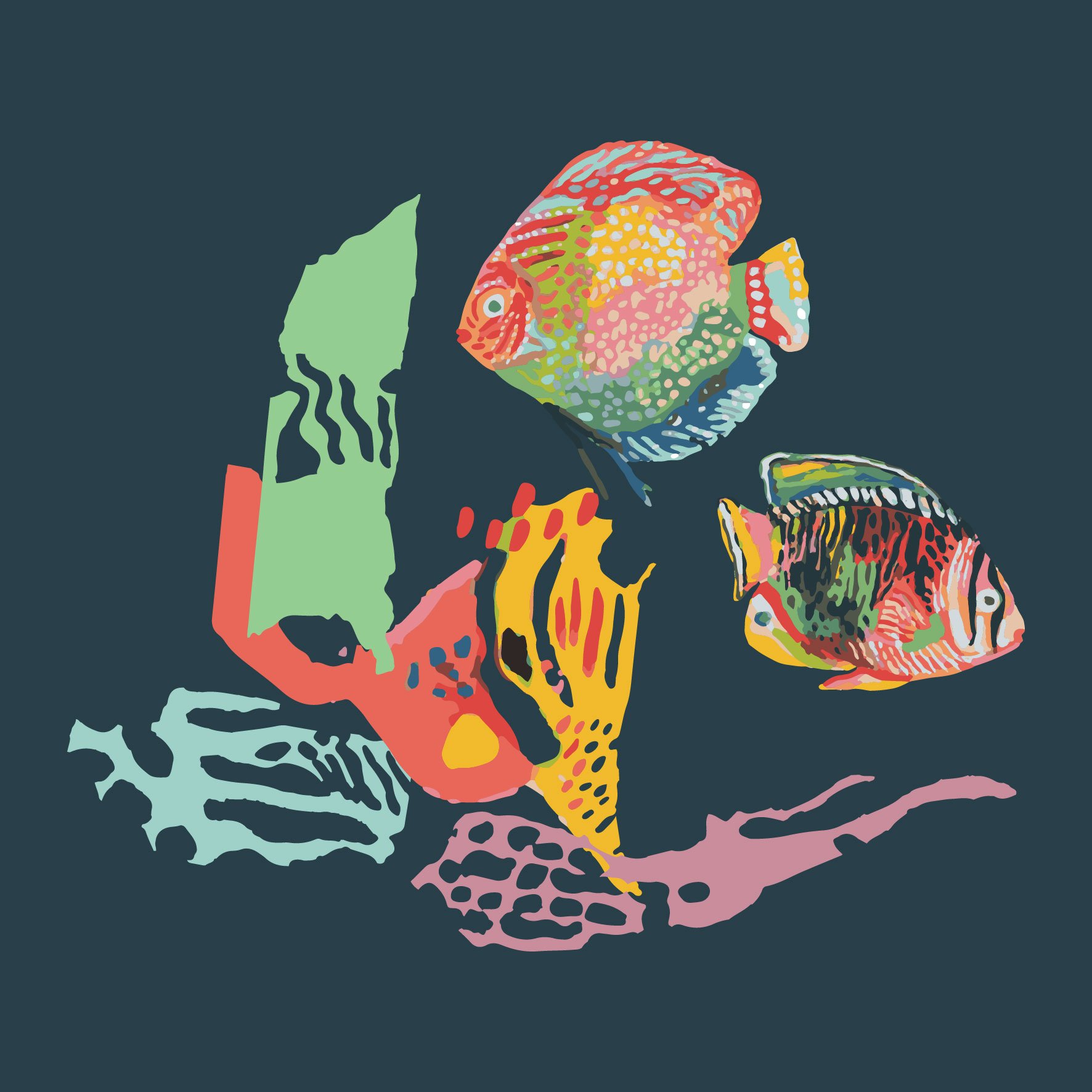 Happy Fish - Placement Design