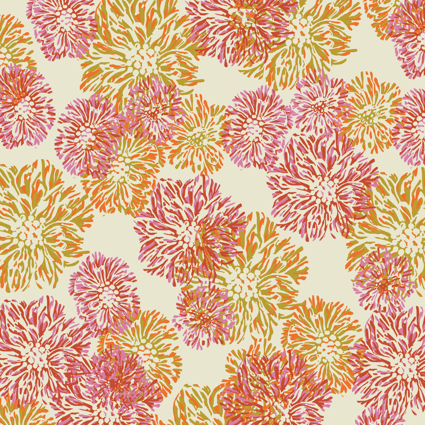 Chrysanthemum Multi Cream