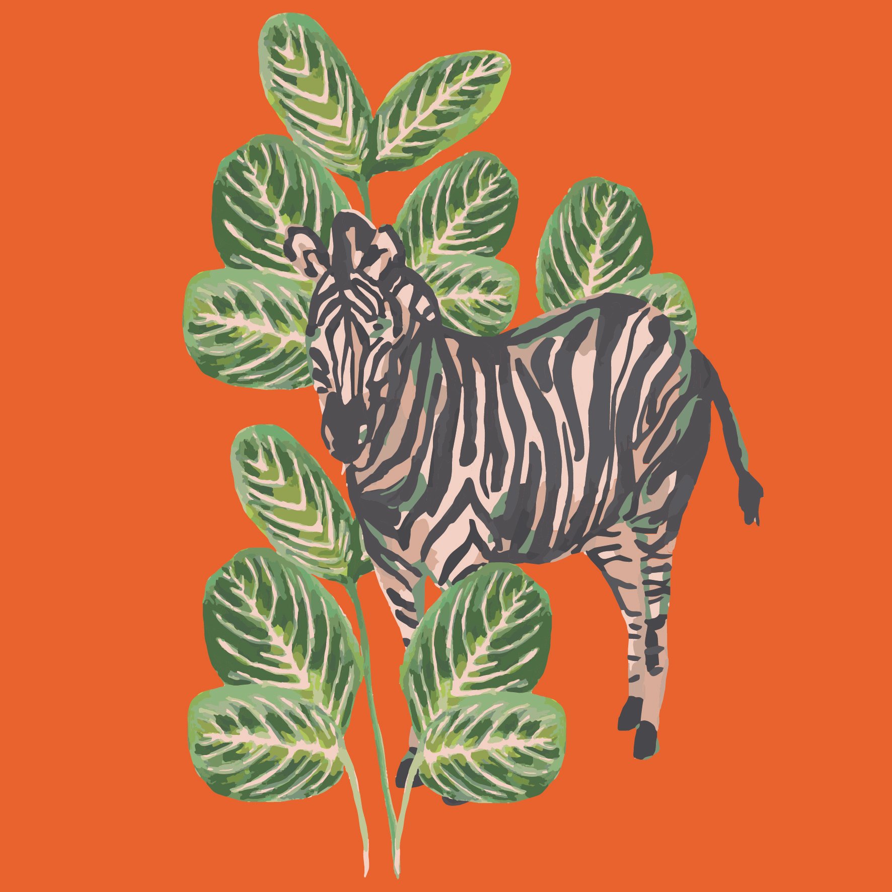 Zebra Palms