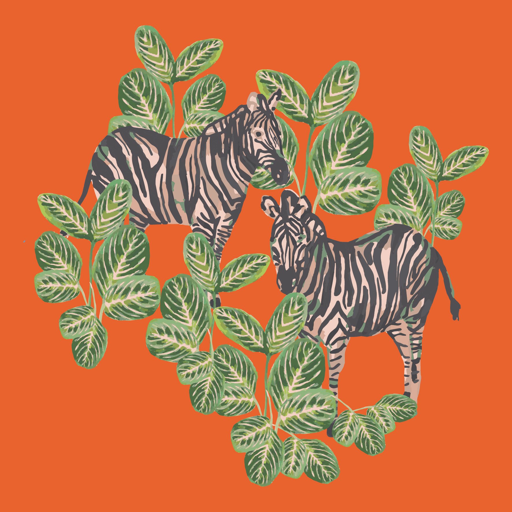 Double Zebra Palm