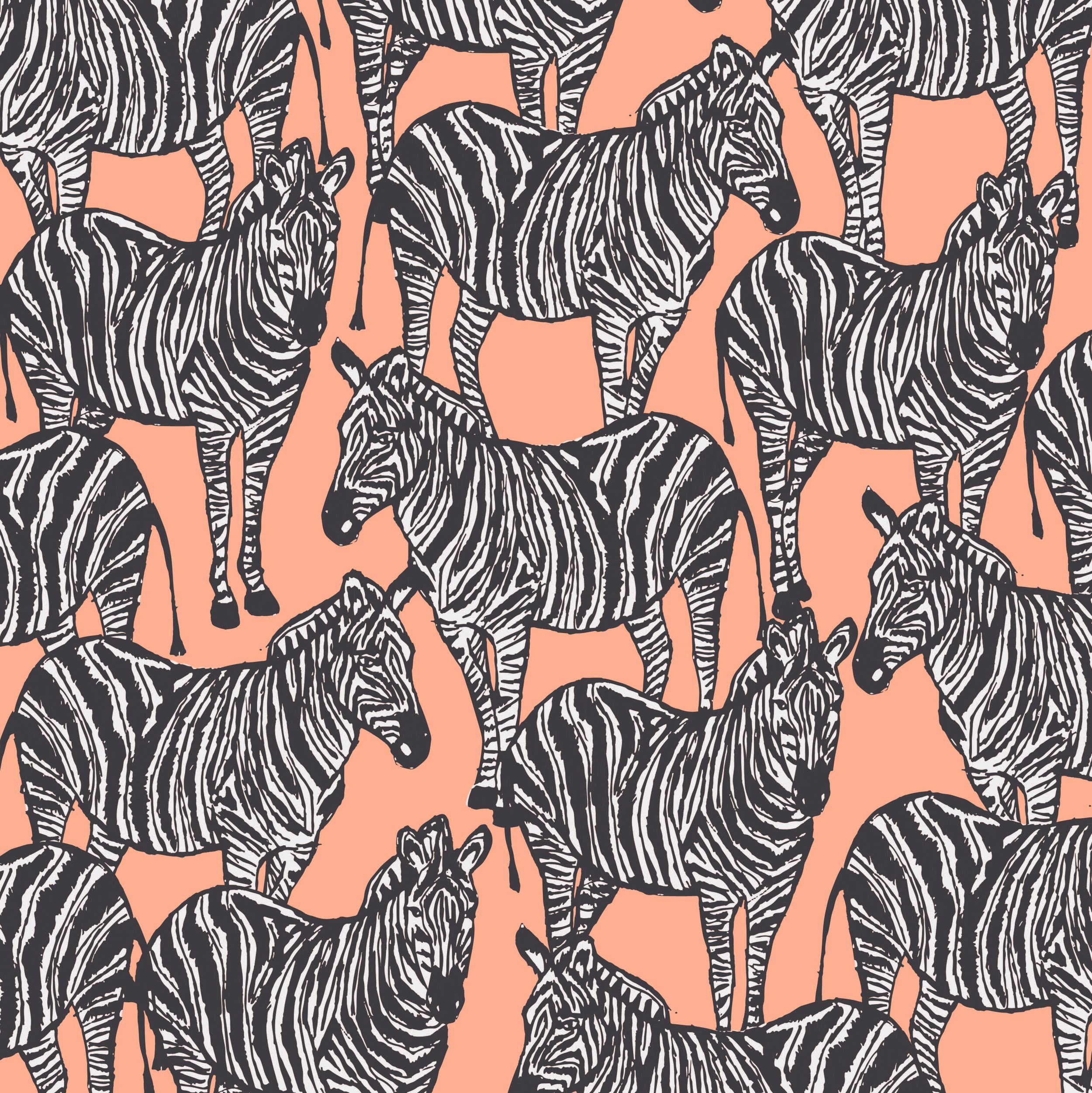 Zebra Lookout - Onyx
