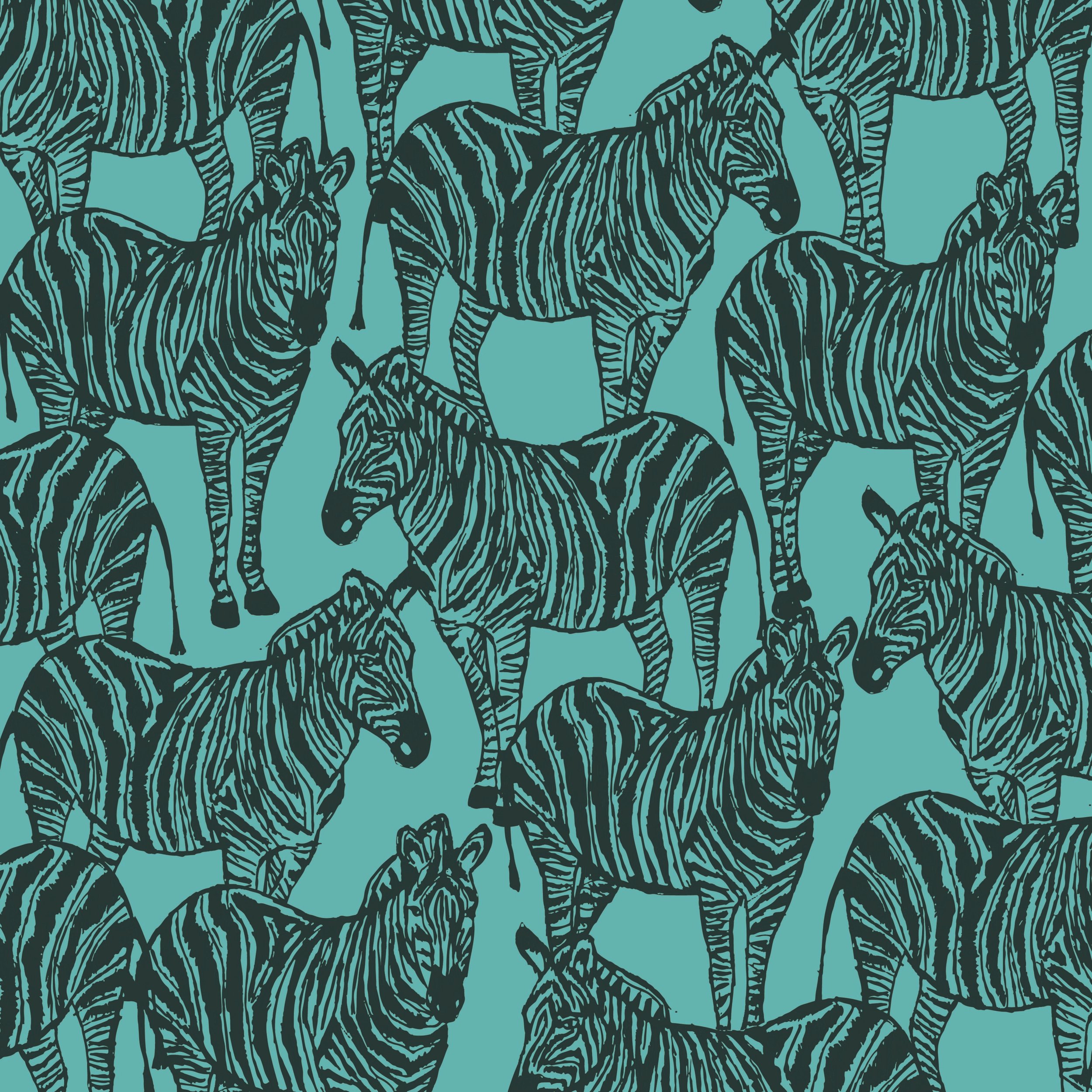 Zebra Lookout - Aqua
