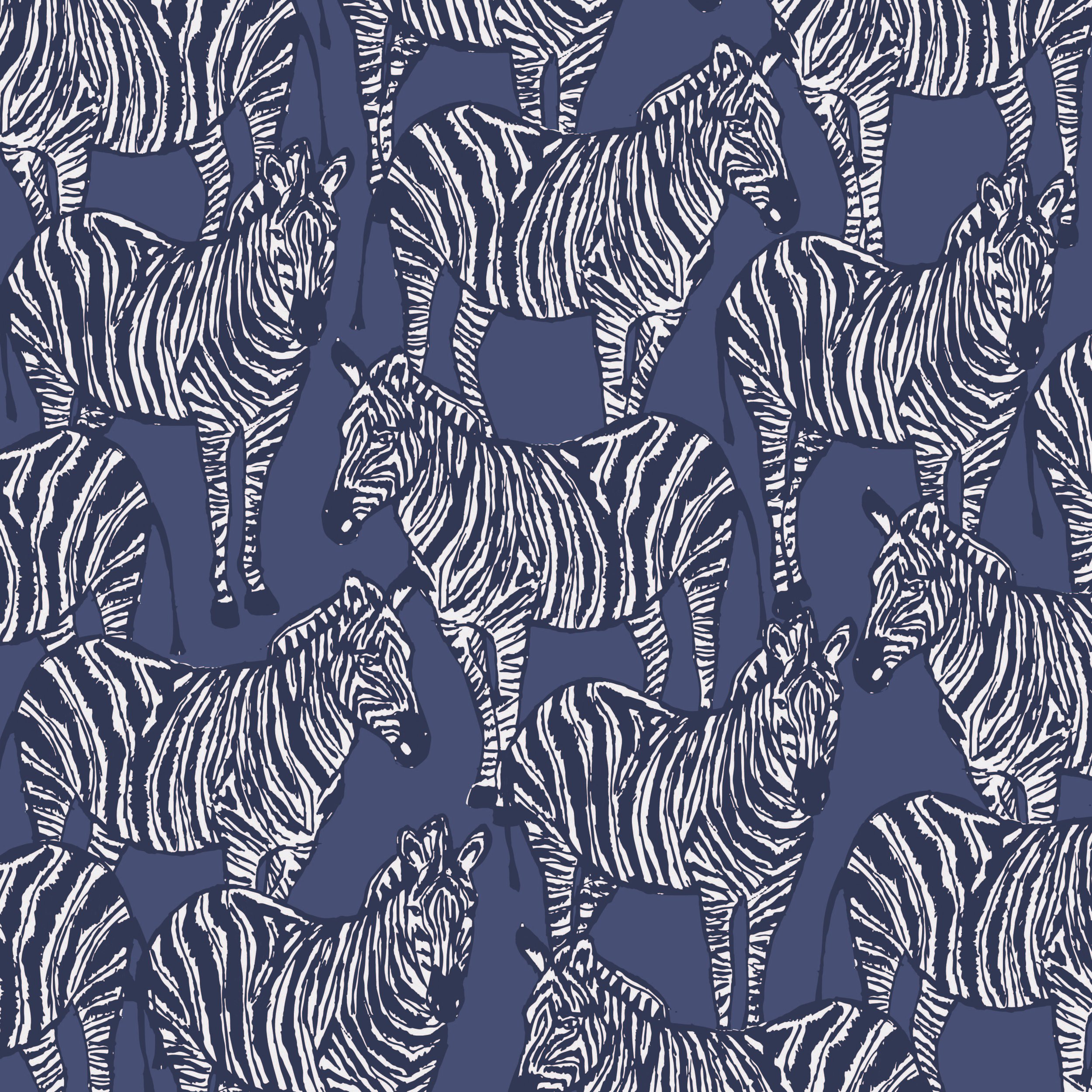 Zebra Lookout - Future Dusk