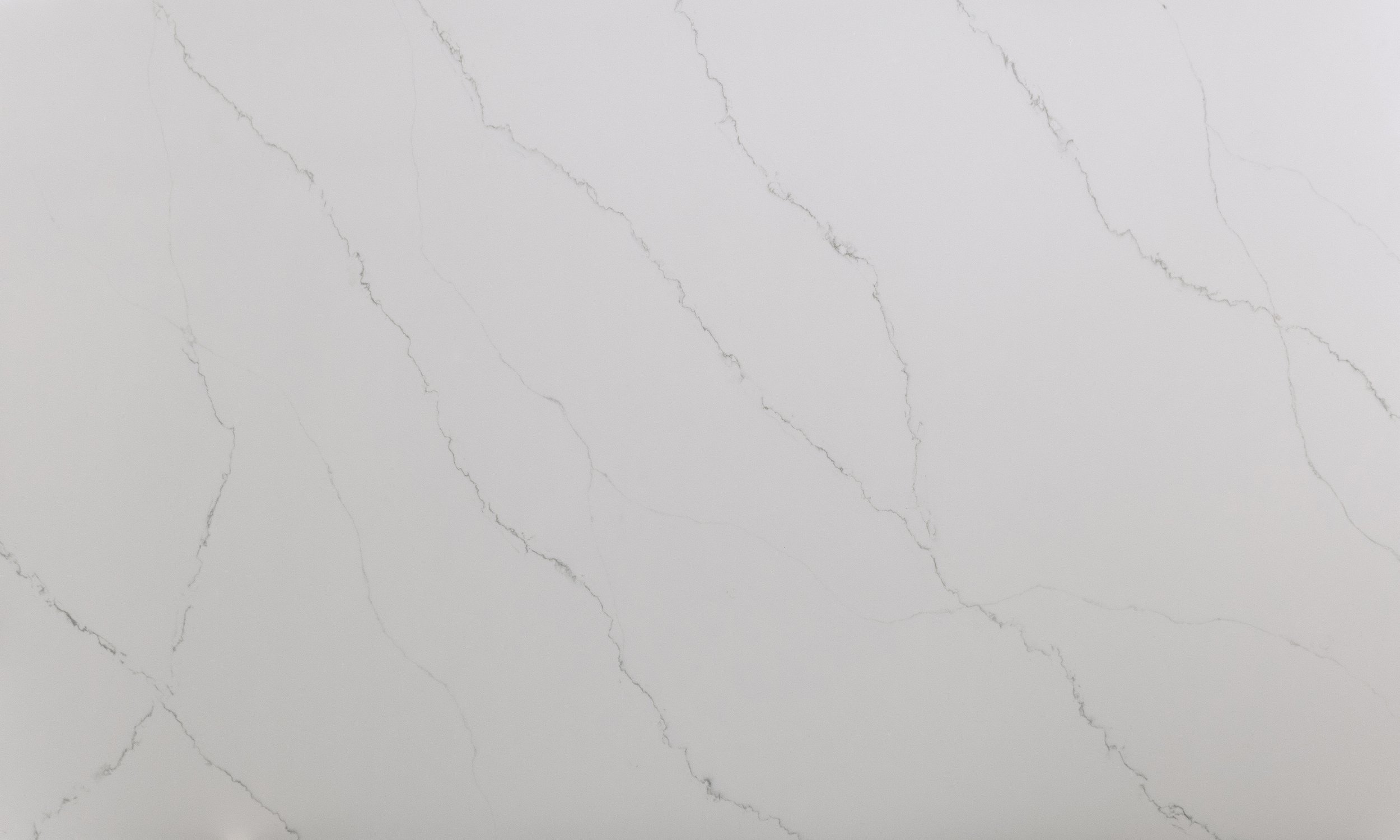 Augusta Grey