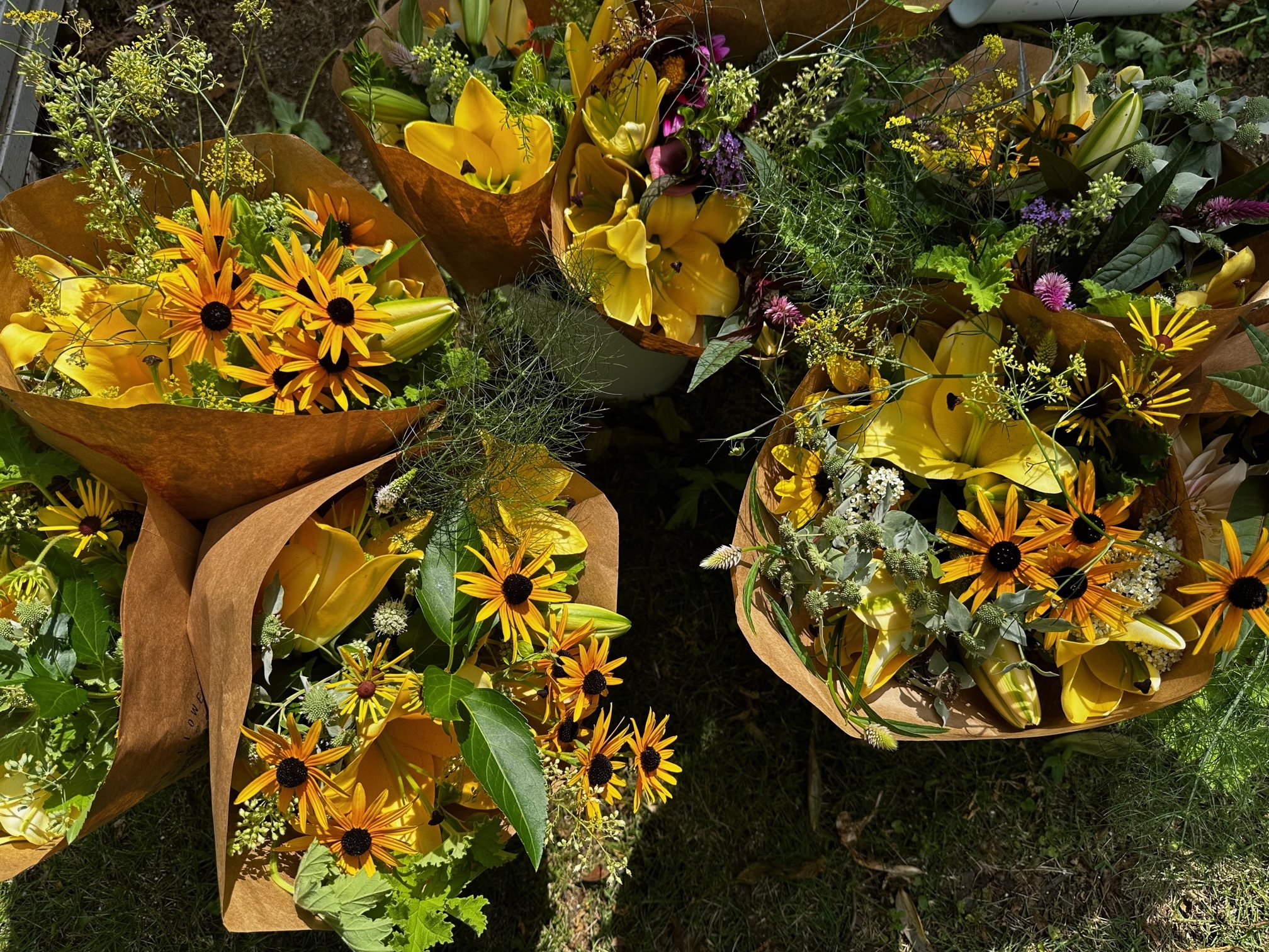 IMG_7622.jpg