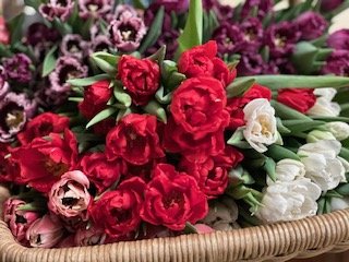 IMG_8936.jpg