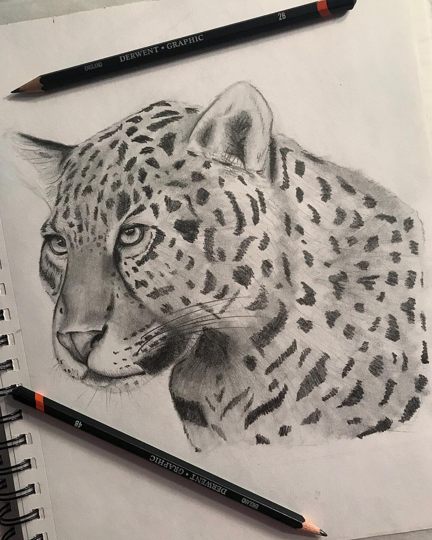 Some quick work done ✅🐆