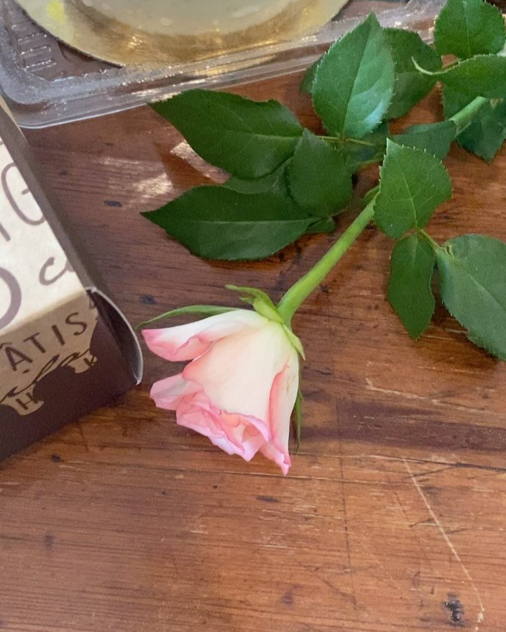 Puuttuuko viel&auml; tarjoilut tai lahja &auml;itienp&auml;iv&auml;lle? Meilt&auml; saat ostettua 6 hl&ouml; (24,60&euro;, G, L, Mu) tai 5 hl&ouml; &auml;itienp&auml;iv&auml;kakun (18,80&euro;, L &amp; G)💖

Jos kaipaat jotain pienemp&auml;&auml;, me
