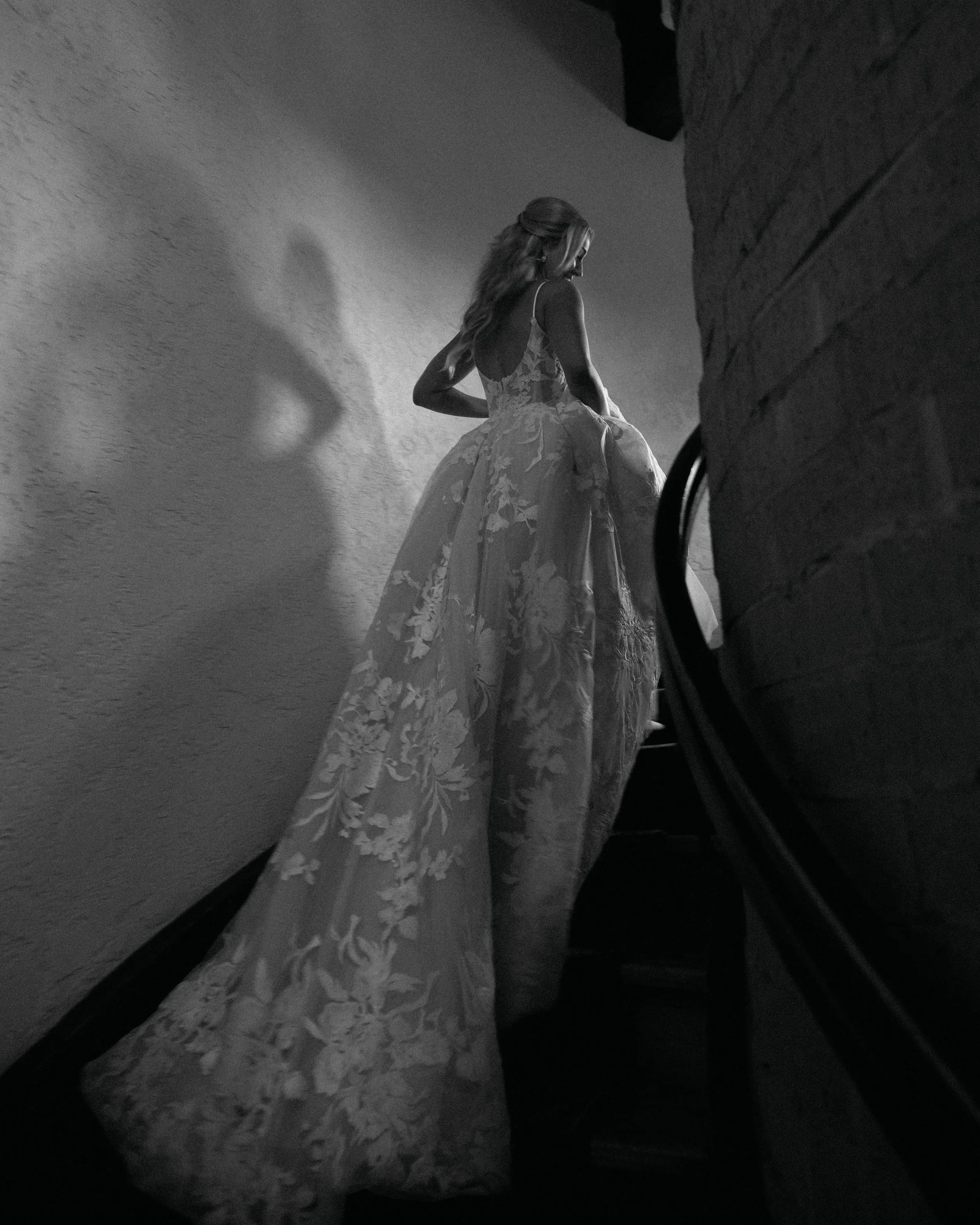 A woman in an elegant, flowing gown stands on a staircase, with her back to the camera. Her hair is styled in loose waves, and her shadow is cast on the wall behind her.