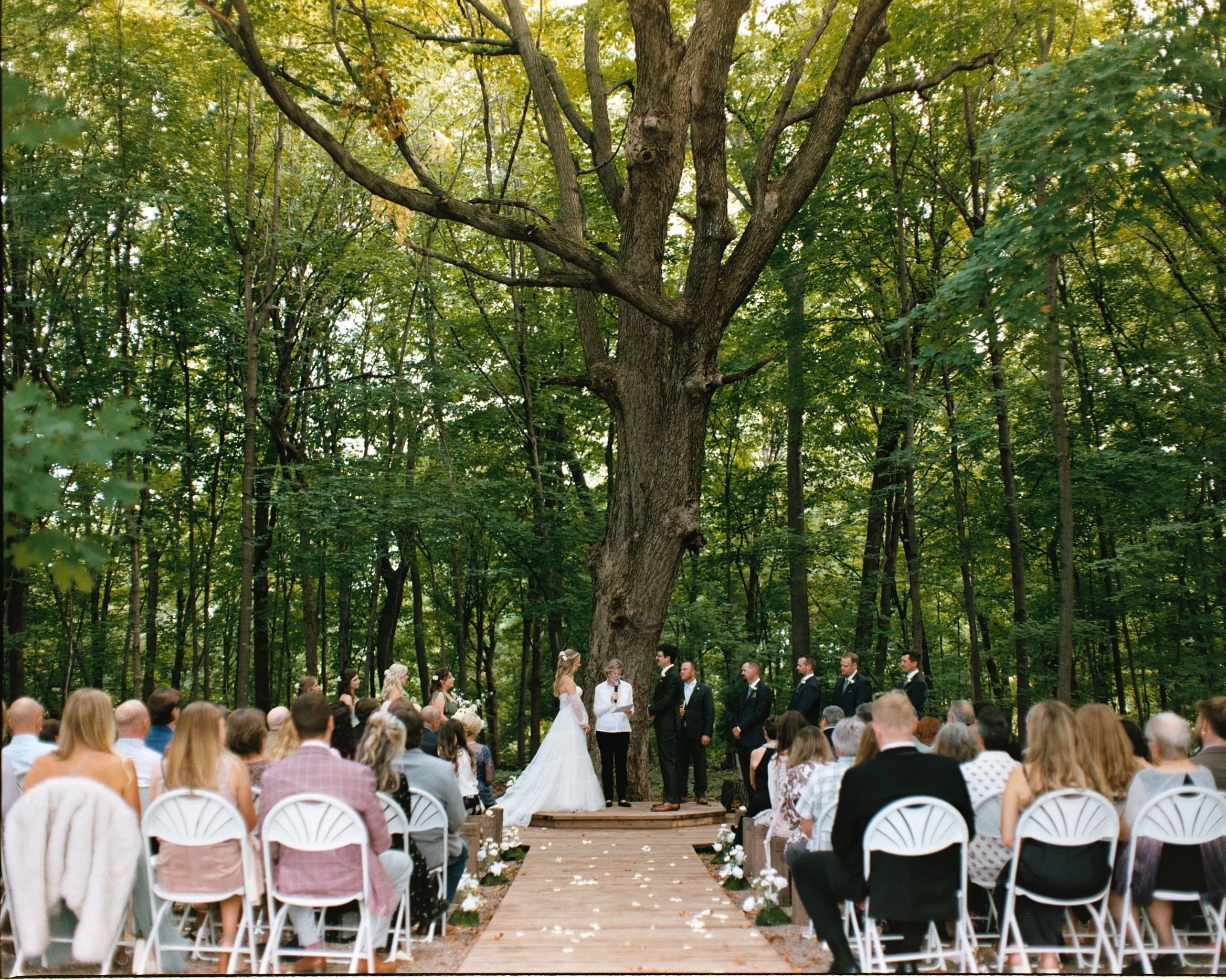 A wedding ceremony taking place outdoors under a large tree in a forest, with guests seated on white chairs facing the bride and groom standing on a wooden platform.