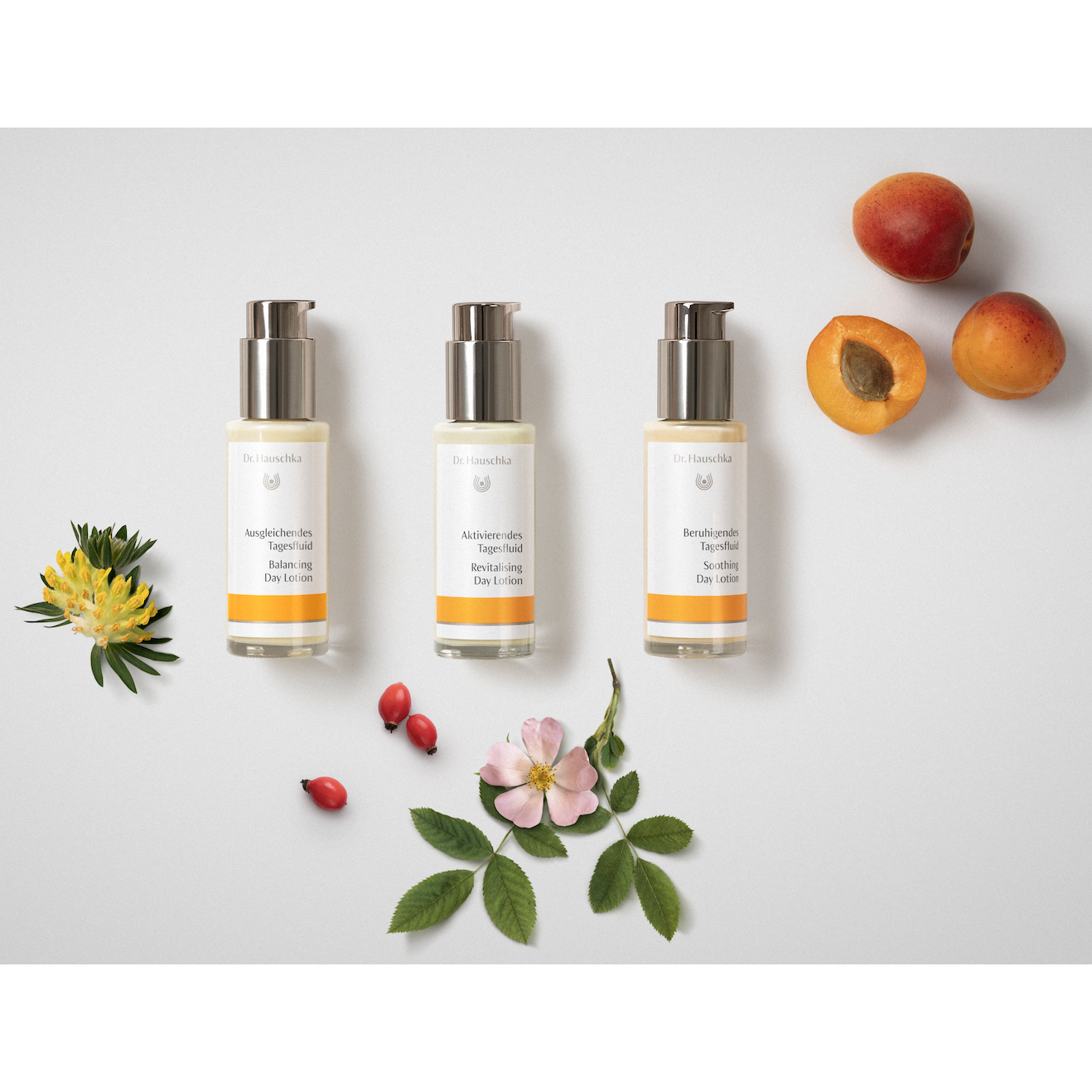 Dr. Hauschka - Powered by Flowers