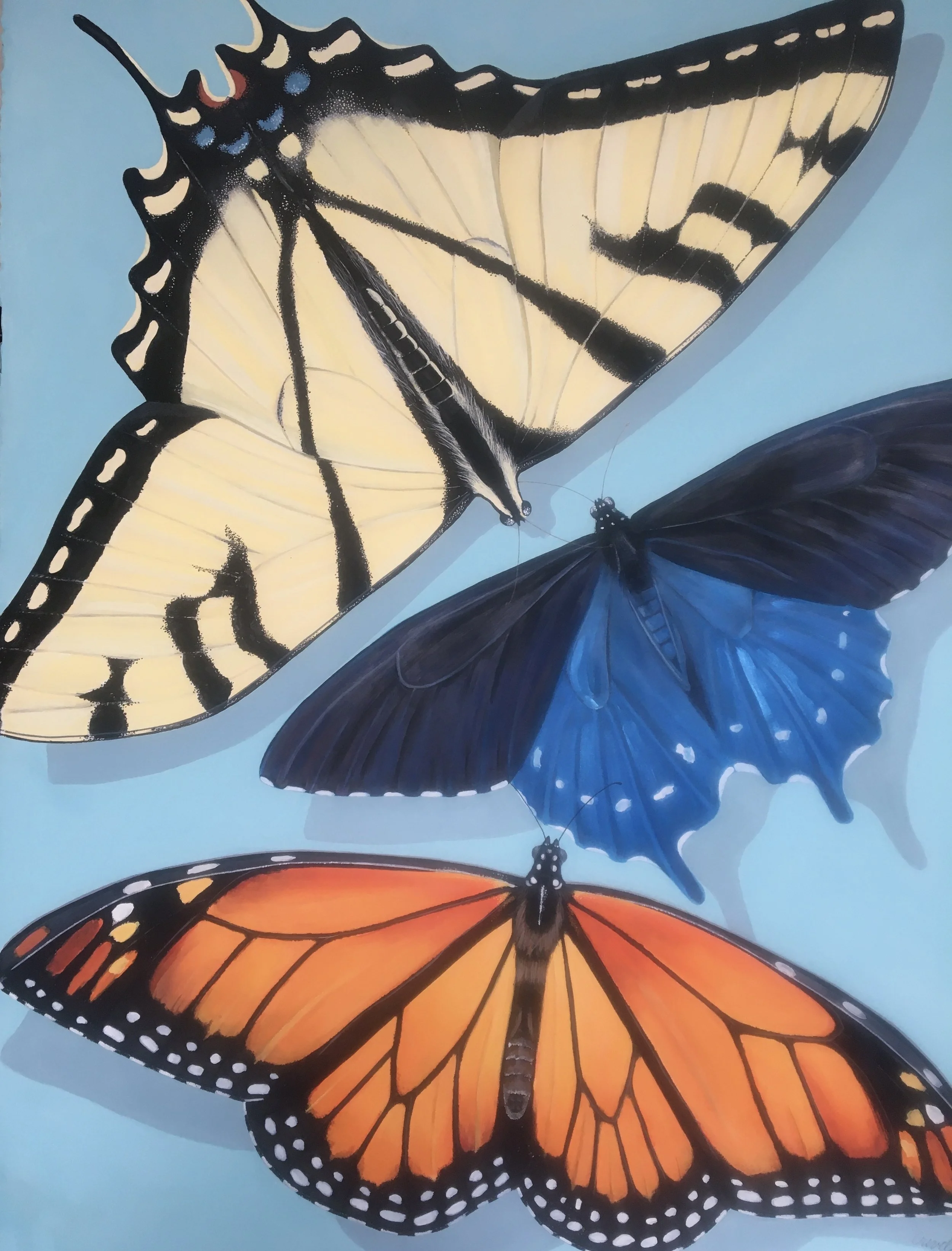 3 Large Butterflies #1025