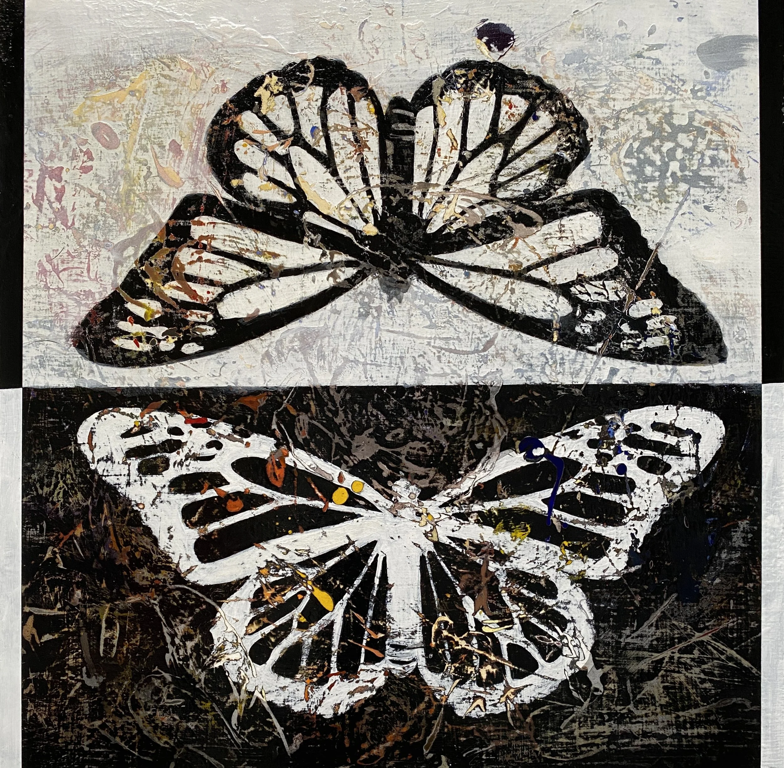 Black and White #1036