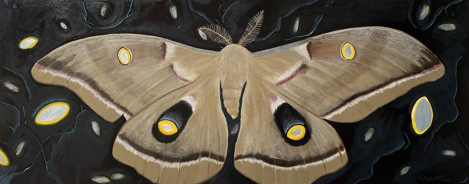 Eyes-Polyphemus Moth #1030
