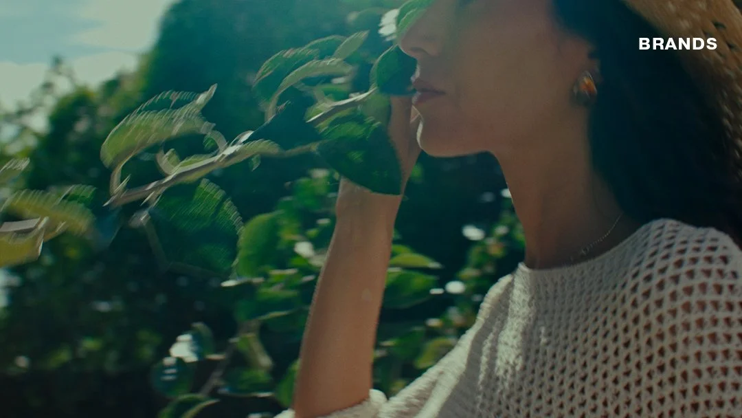 SAINT DALFOUR FRANCE