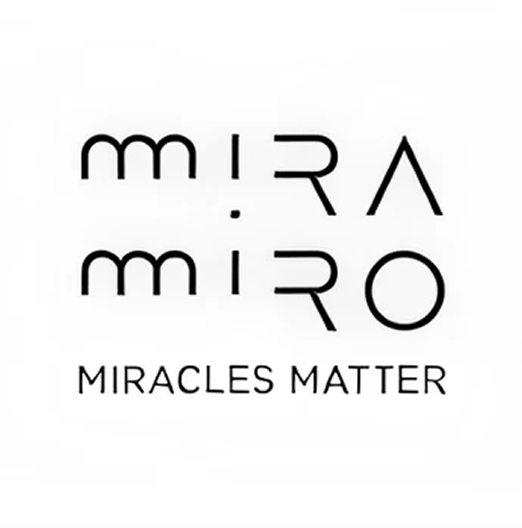 766e9b_b4806382f7924d36a5d73bc8a1d33243~mv2 1.png