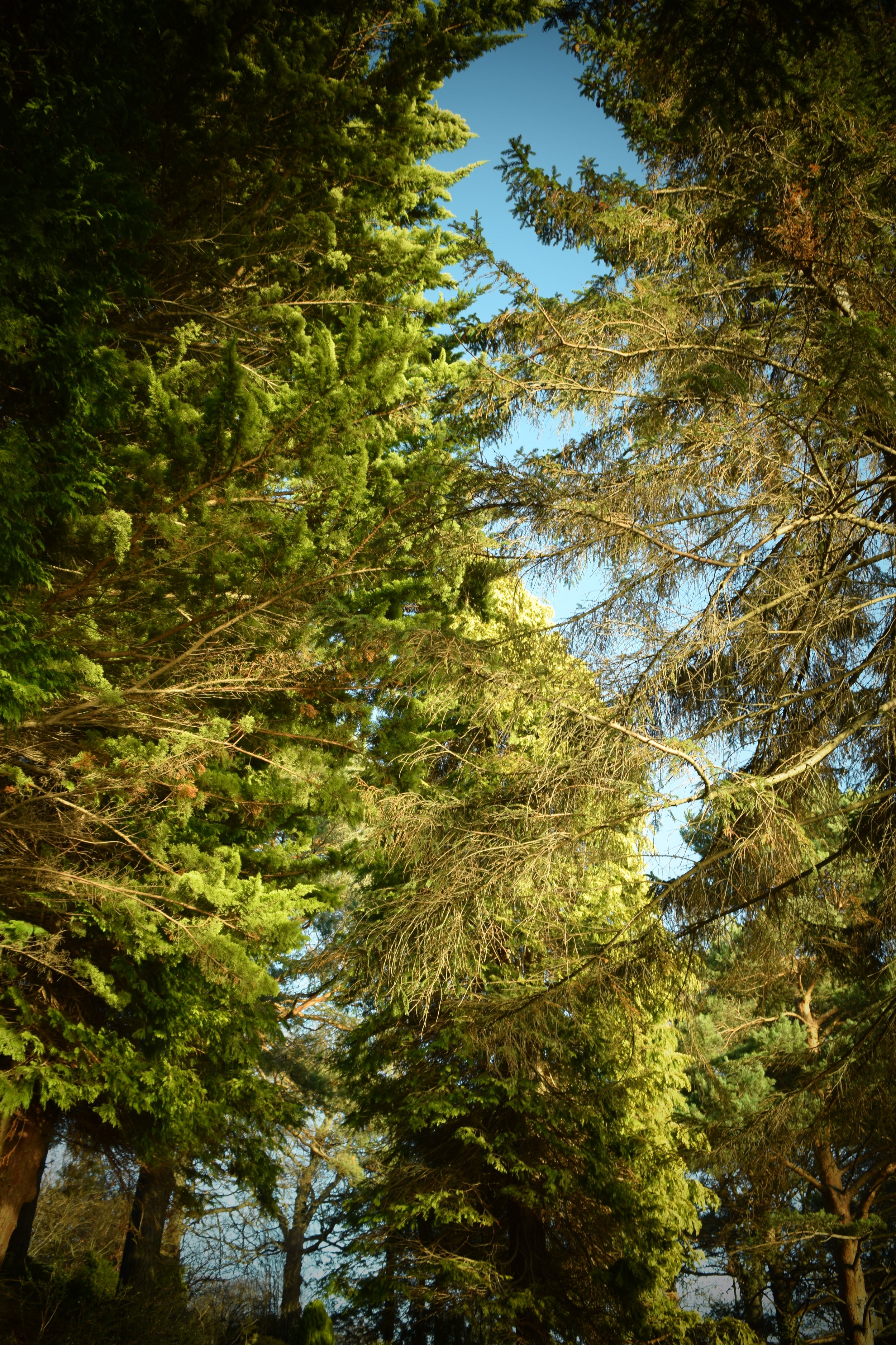 DSC_0122.JPG