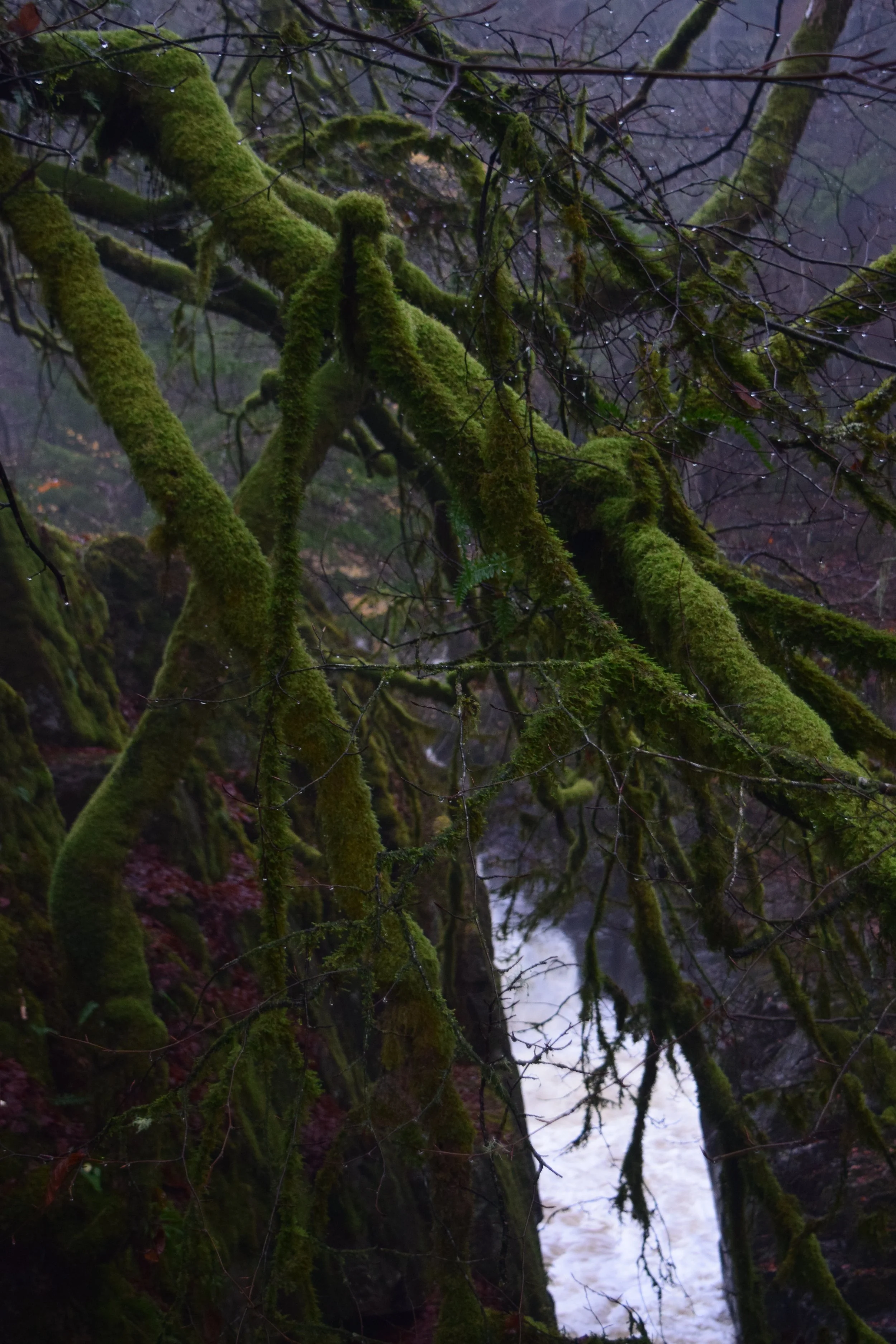 DSC_0675.JPG