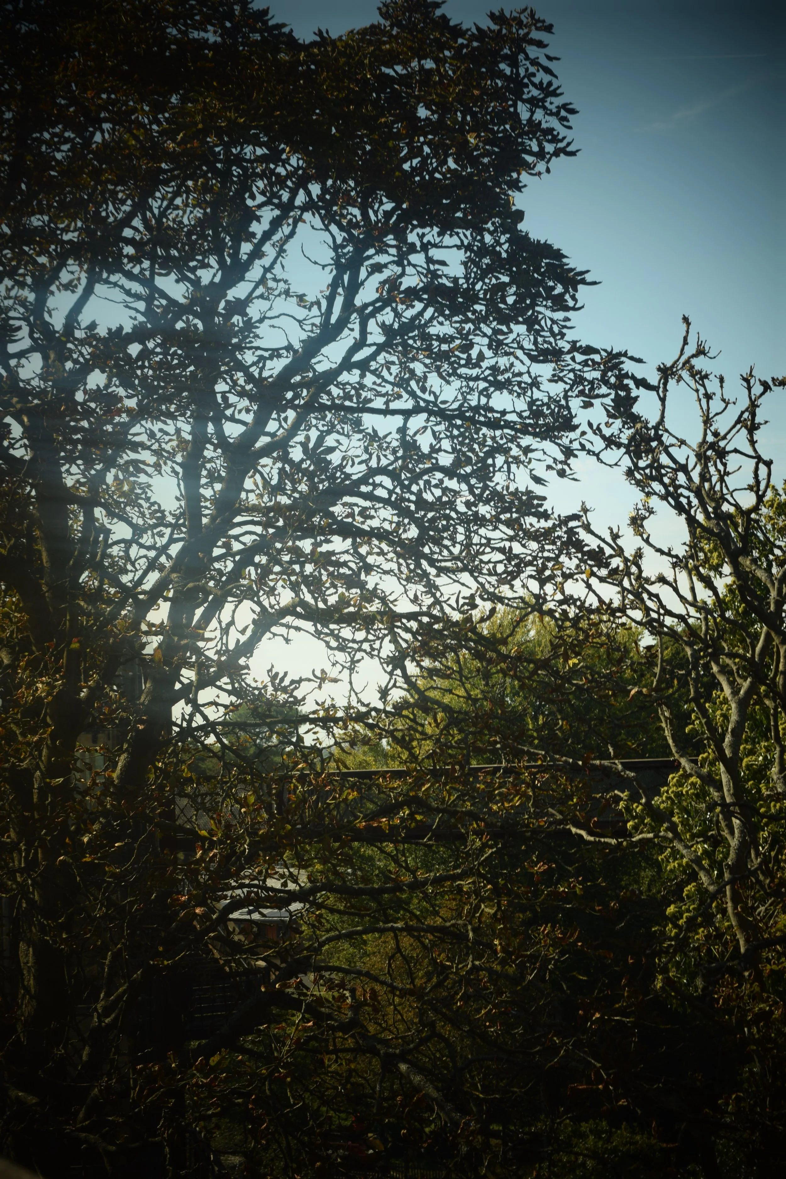 DSC_0034.JPG