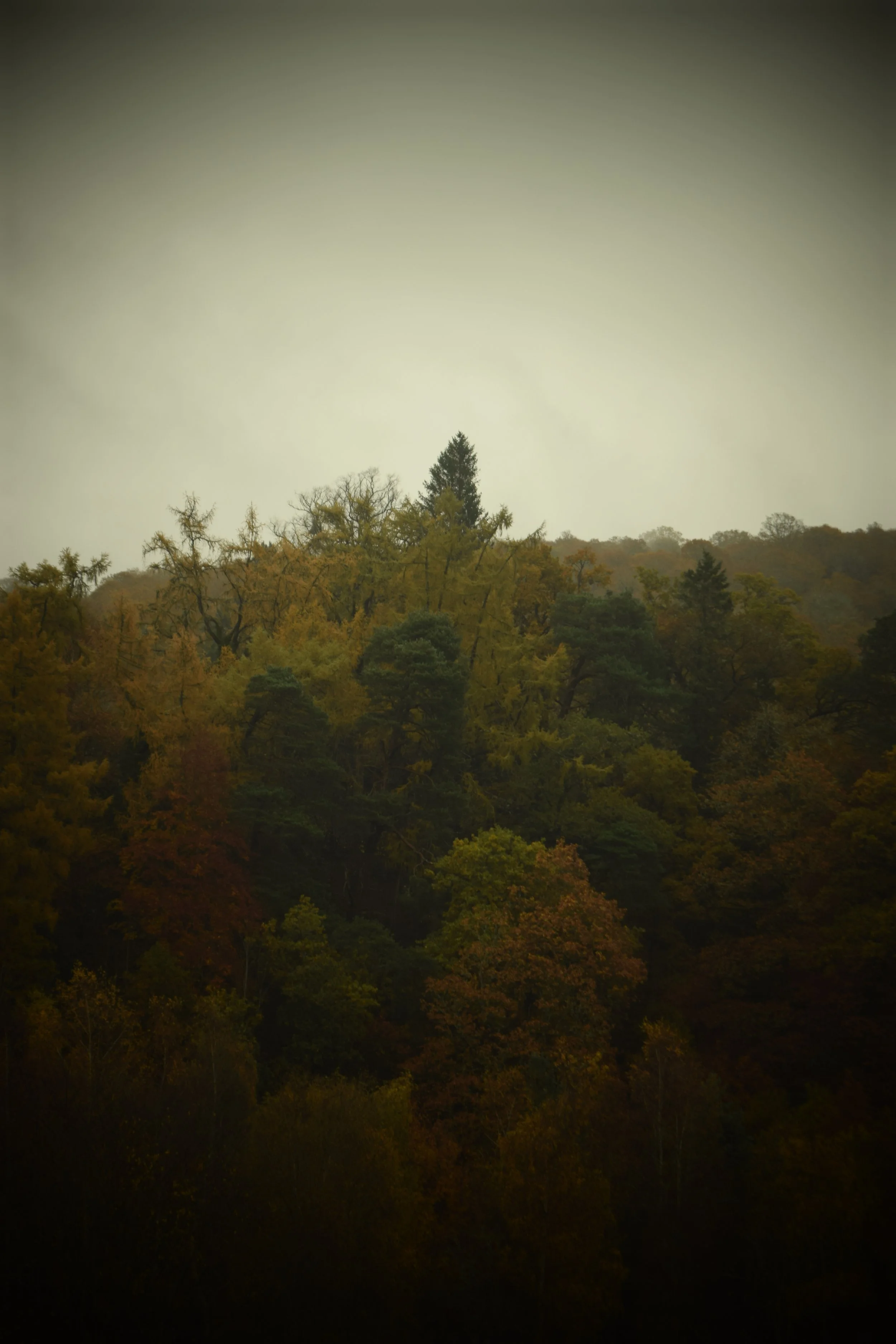 DSC_0622.JPG