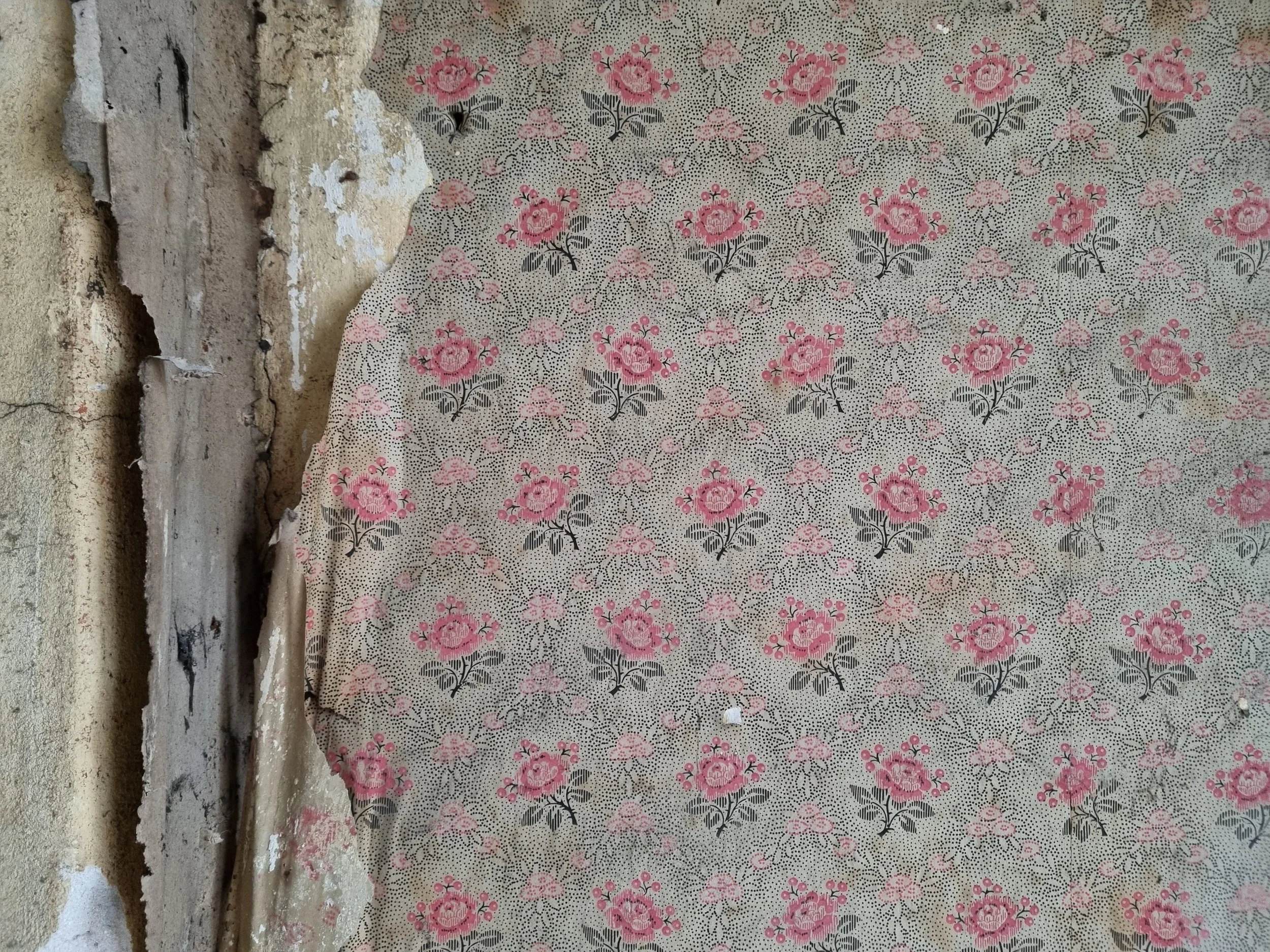 2022-02-09 11.07.14.jpg