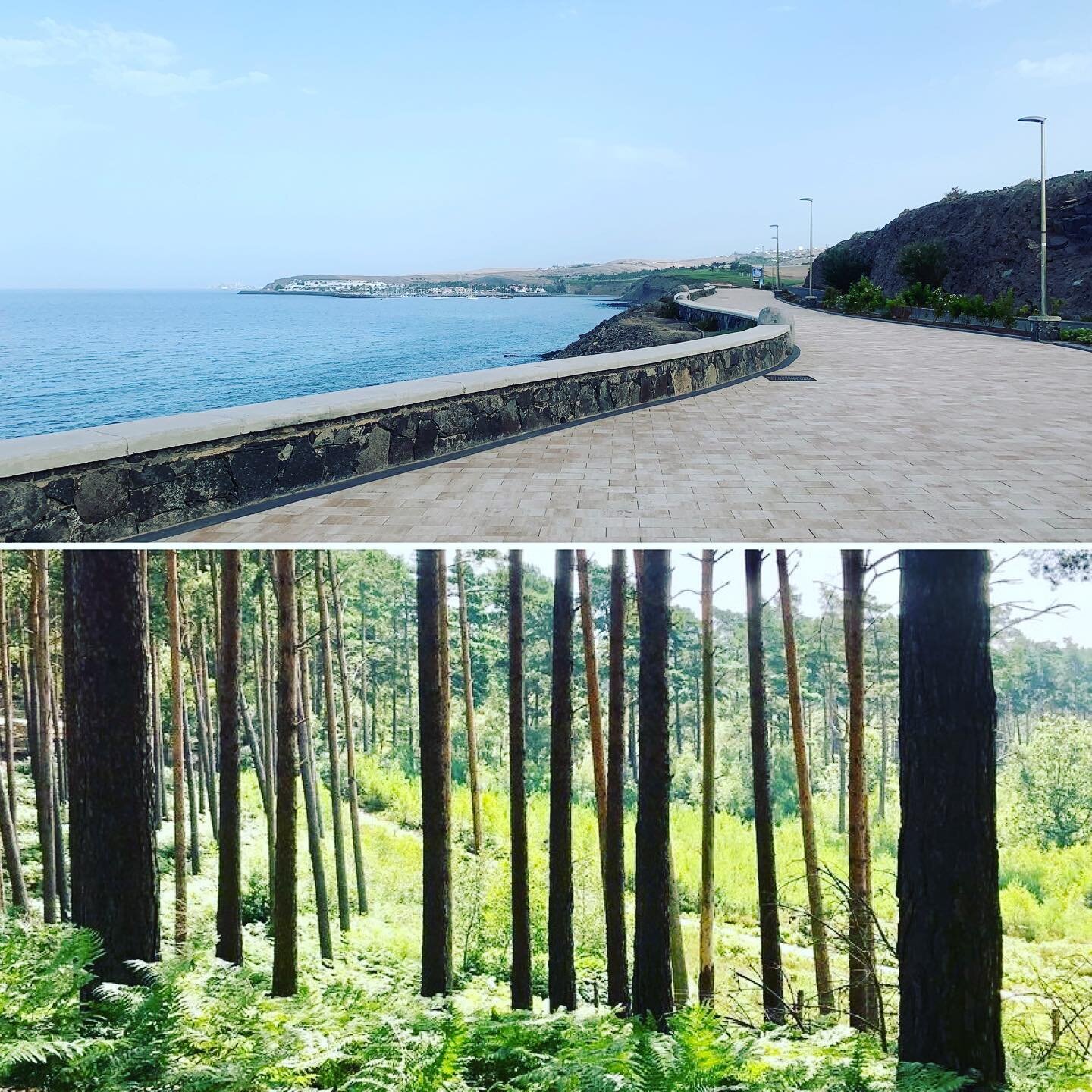 Holiday running route vs home running route, could not be more different. Will miss the flats! #run #running #bournewoods #grancanaria